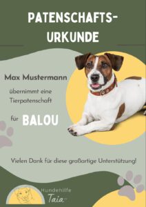 Urkunde