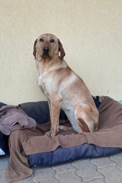 WhatsApp Image 2026-04-07 at 13.39.49 (1)