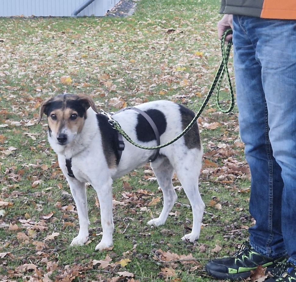 3bcb9416-798f-4984-ab0b-6012345fd5d2