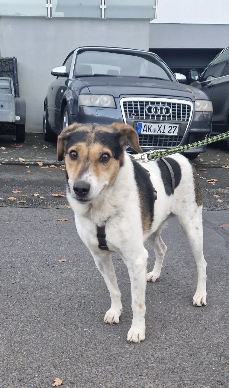 53645911-eafd-4006-b23b-a303b4f705f2