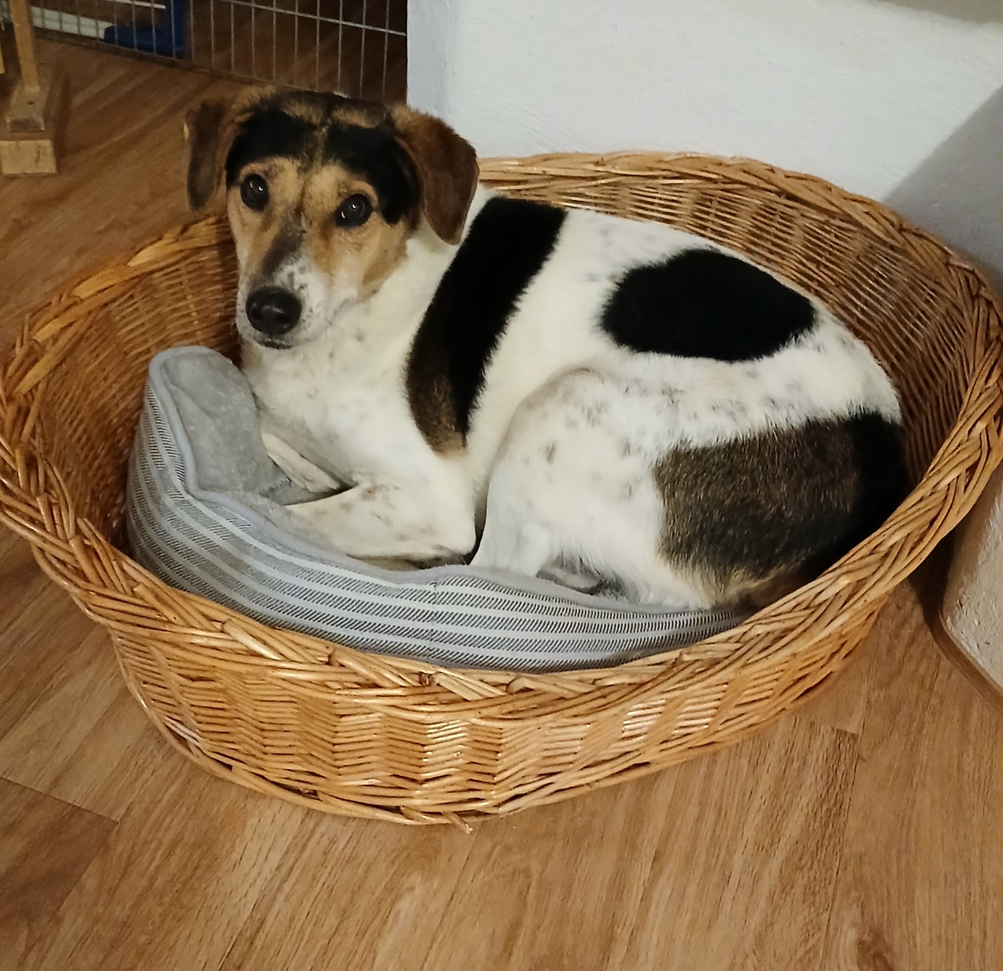 944b079a-1664-49f7-a158-e457590a2a8f