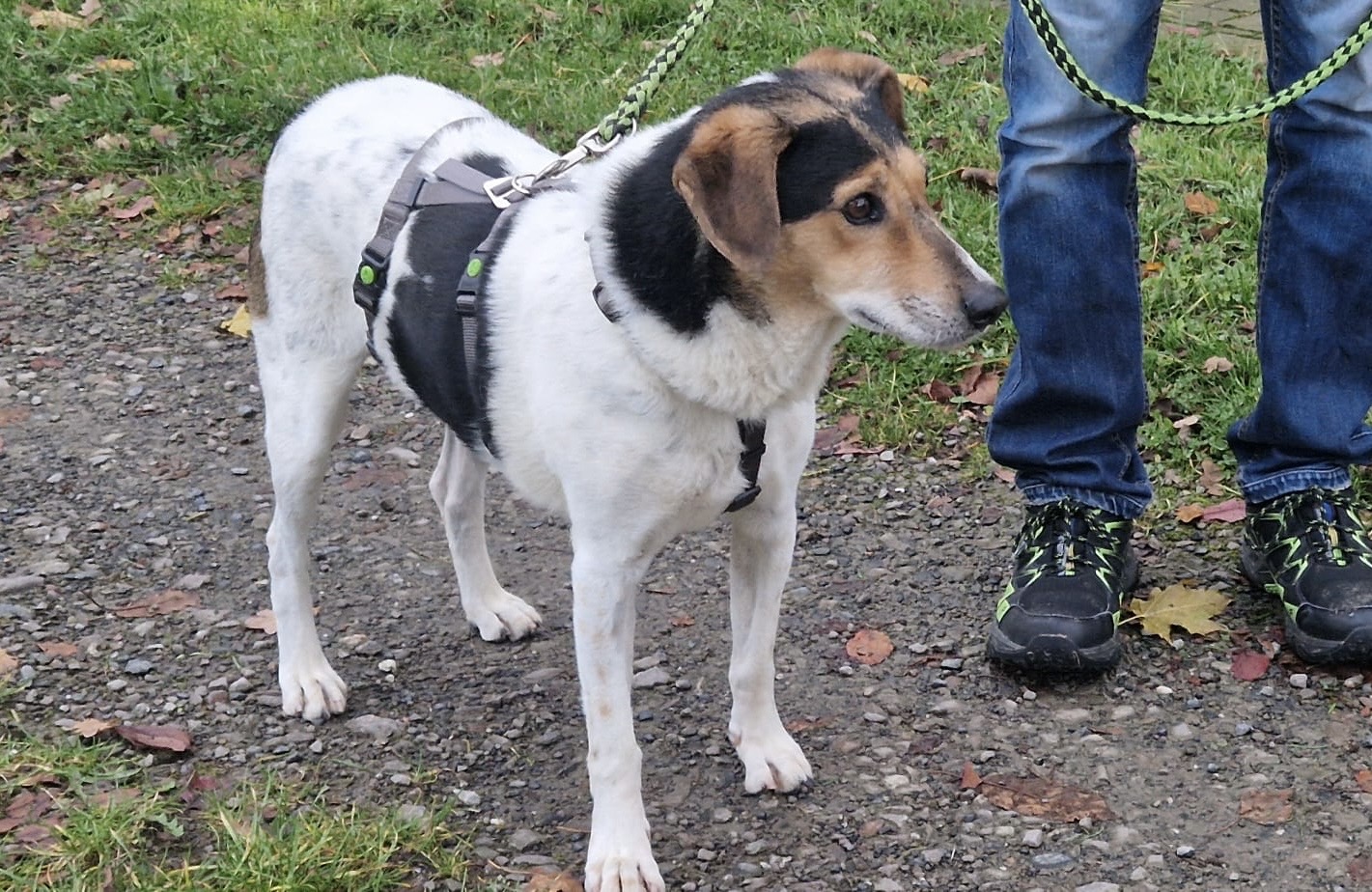 e5bbbbdc-6737-49f1-8626-c47f23ef157f