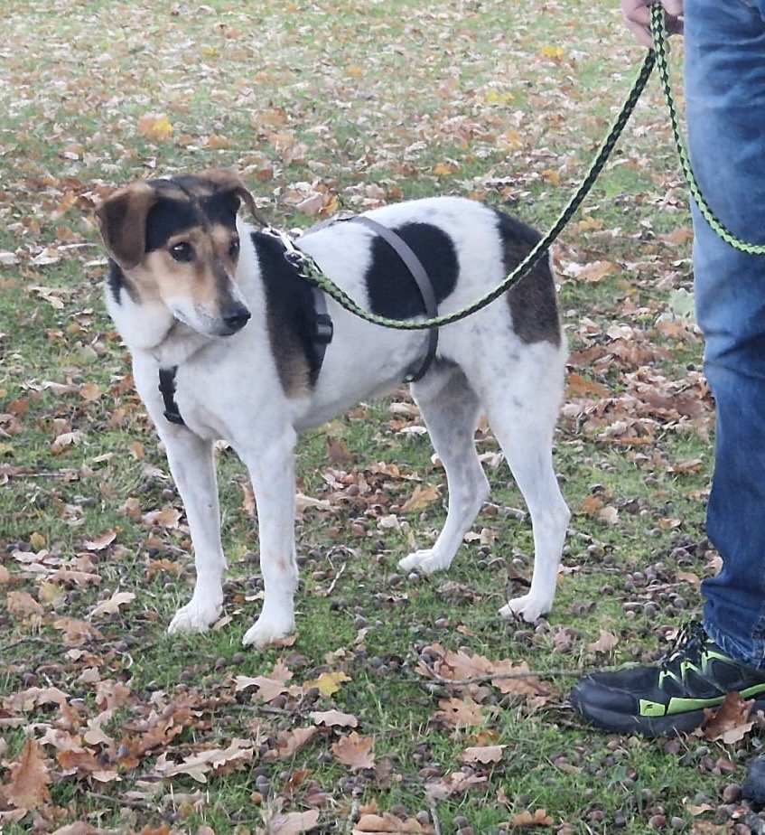 f854ada3-b748-4e7a-89ed-d674041b944a