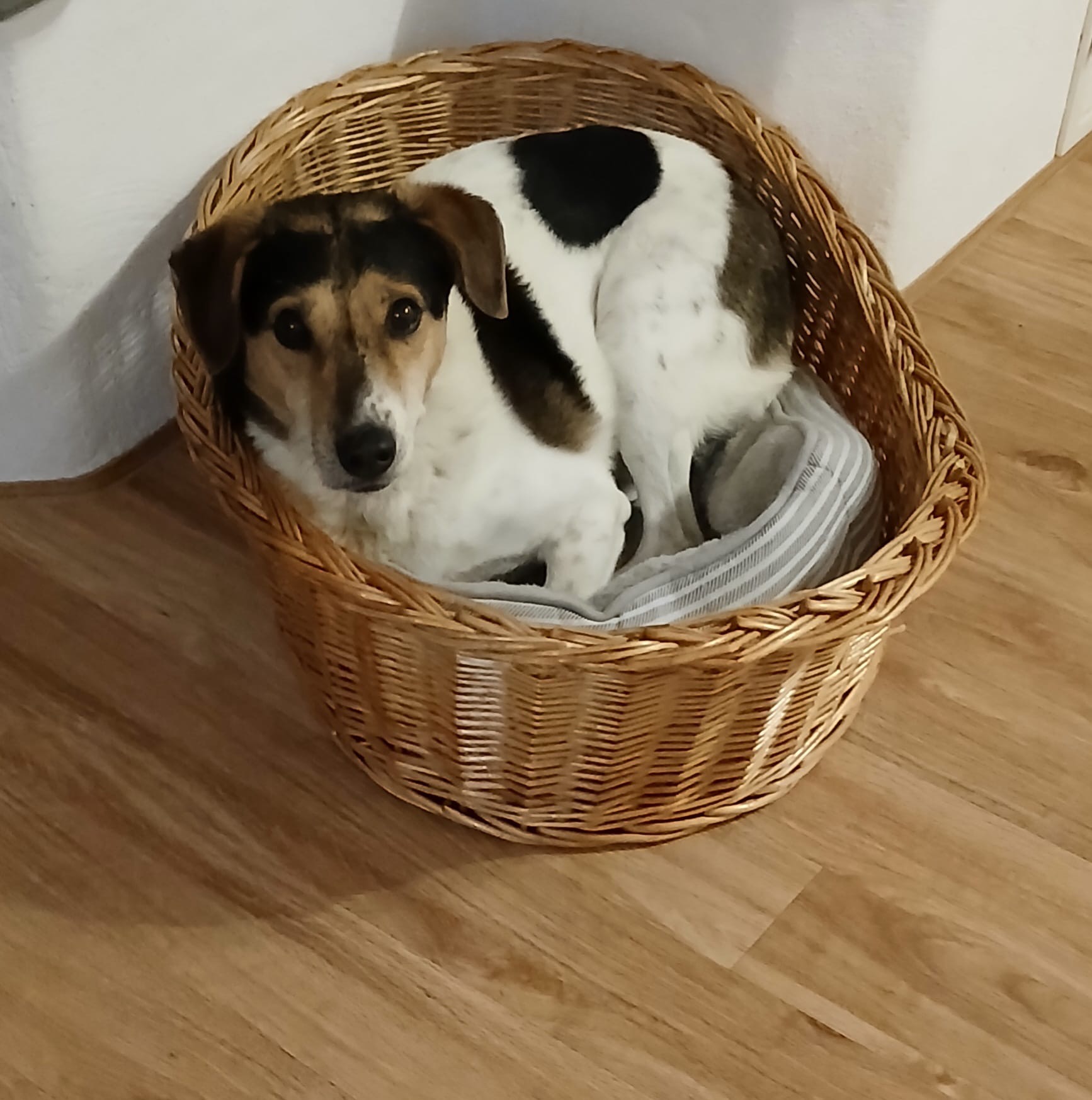 f8785604-589c-4336-81ca-7a8e54665b99