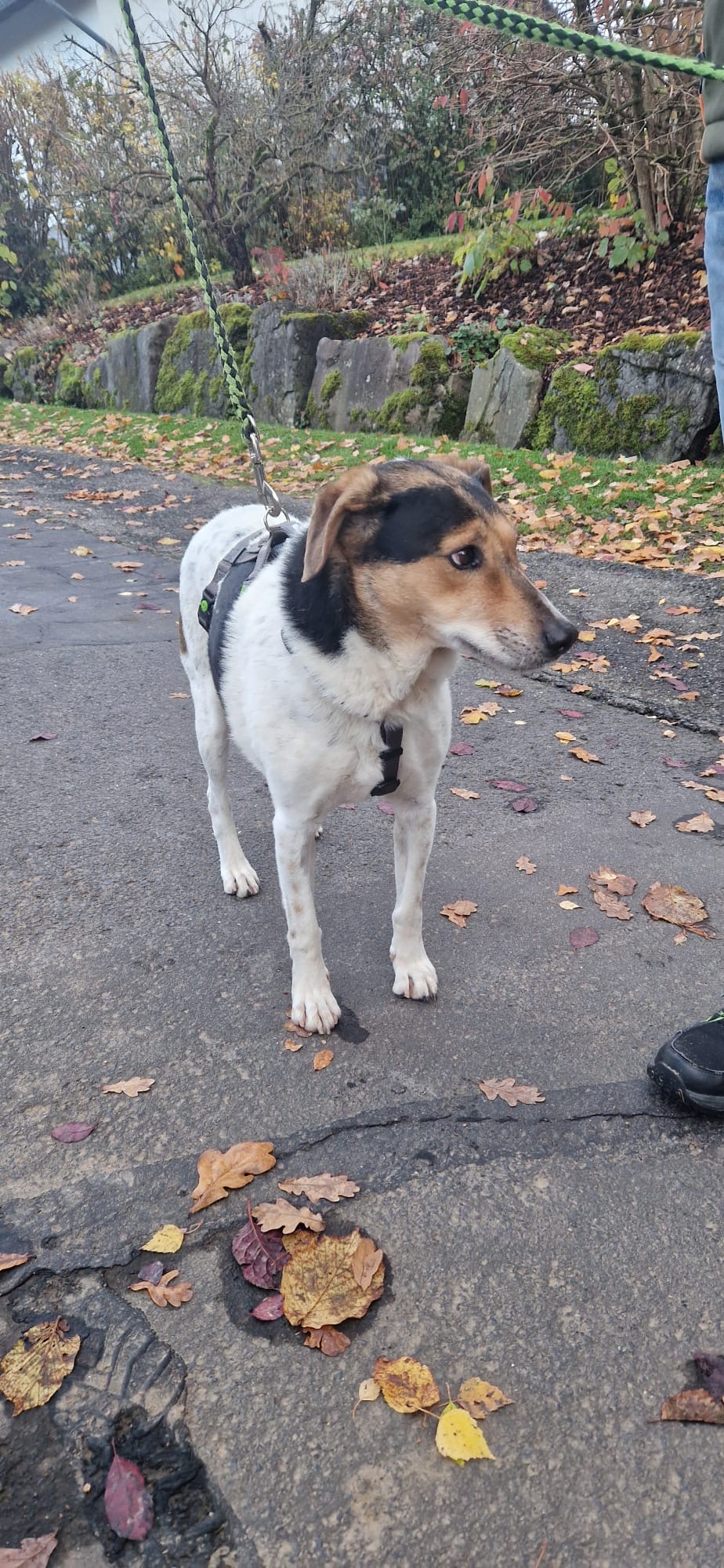 fa17b1a4-c3dd-43b0-9ca3-ab7d3fb8920d