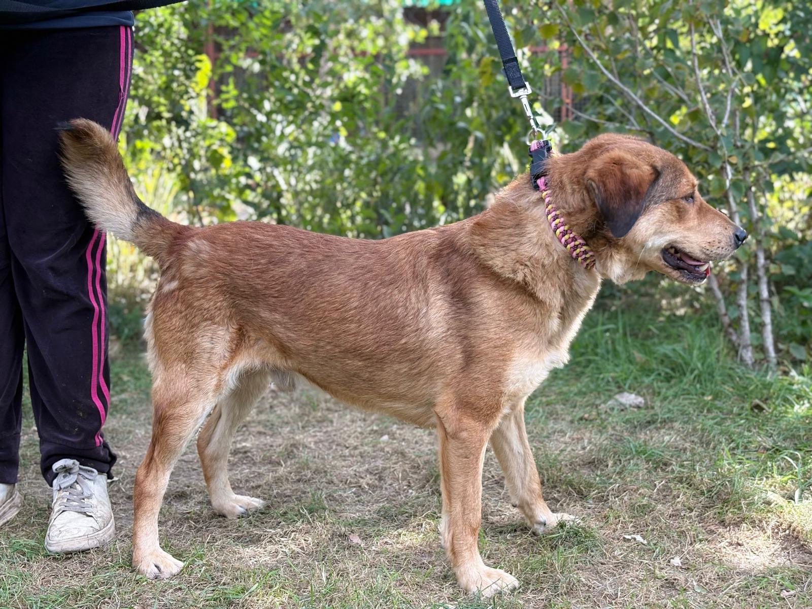 4aafa6af-ea90-4883-849b-adb7280e26d9