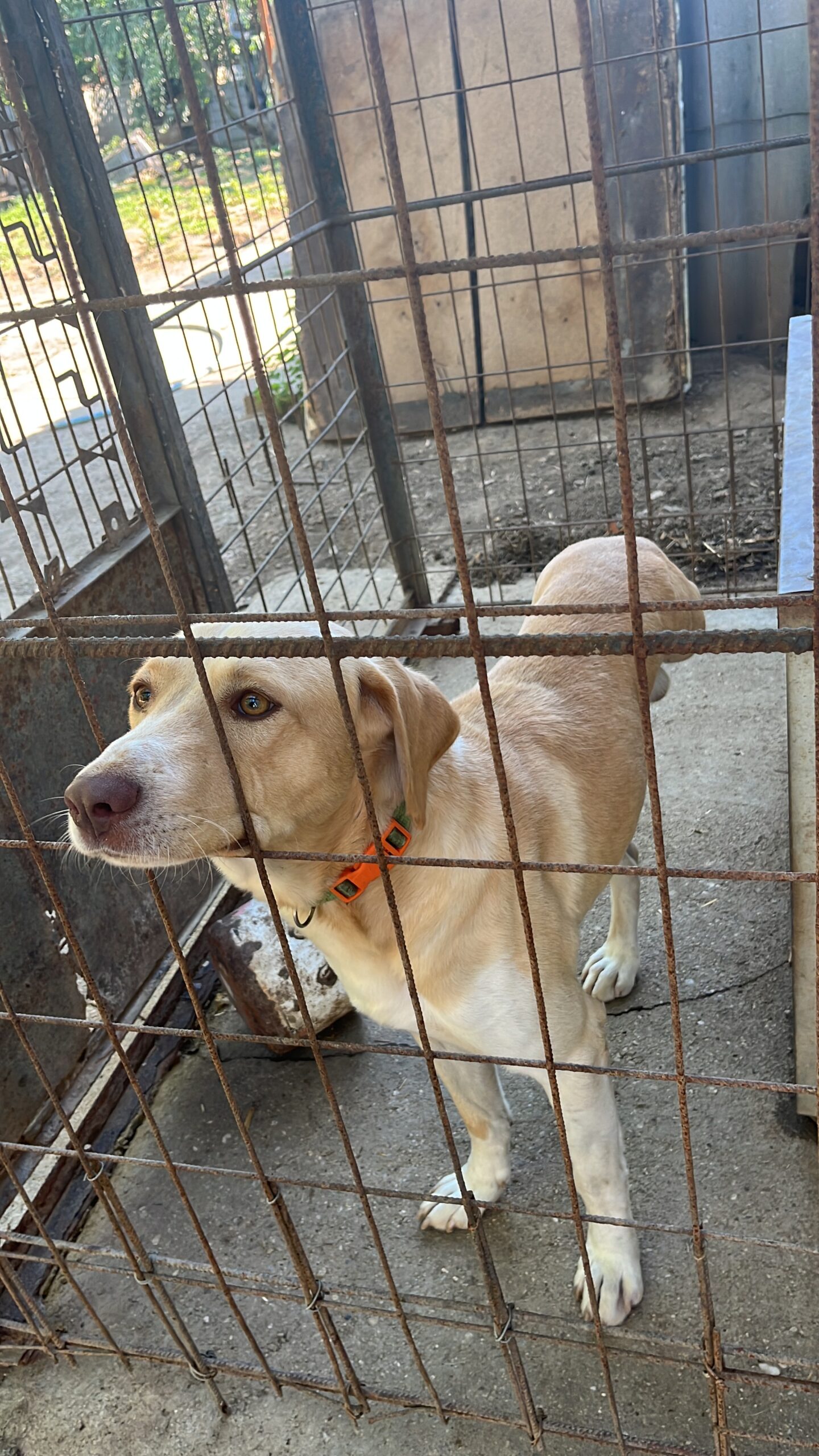 84393D7B-37B9-491C-80EC-B74AE9BECE47