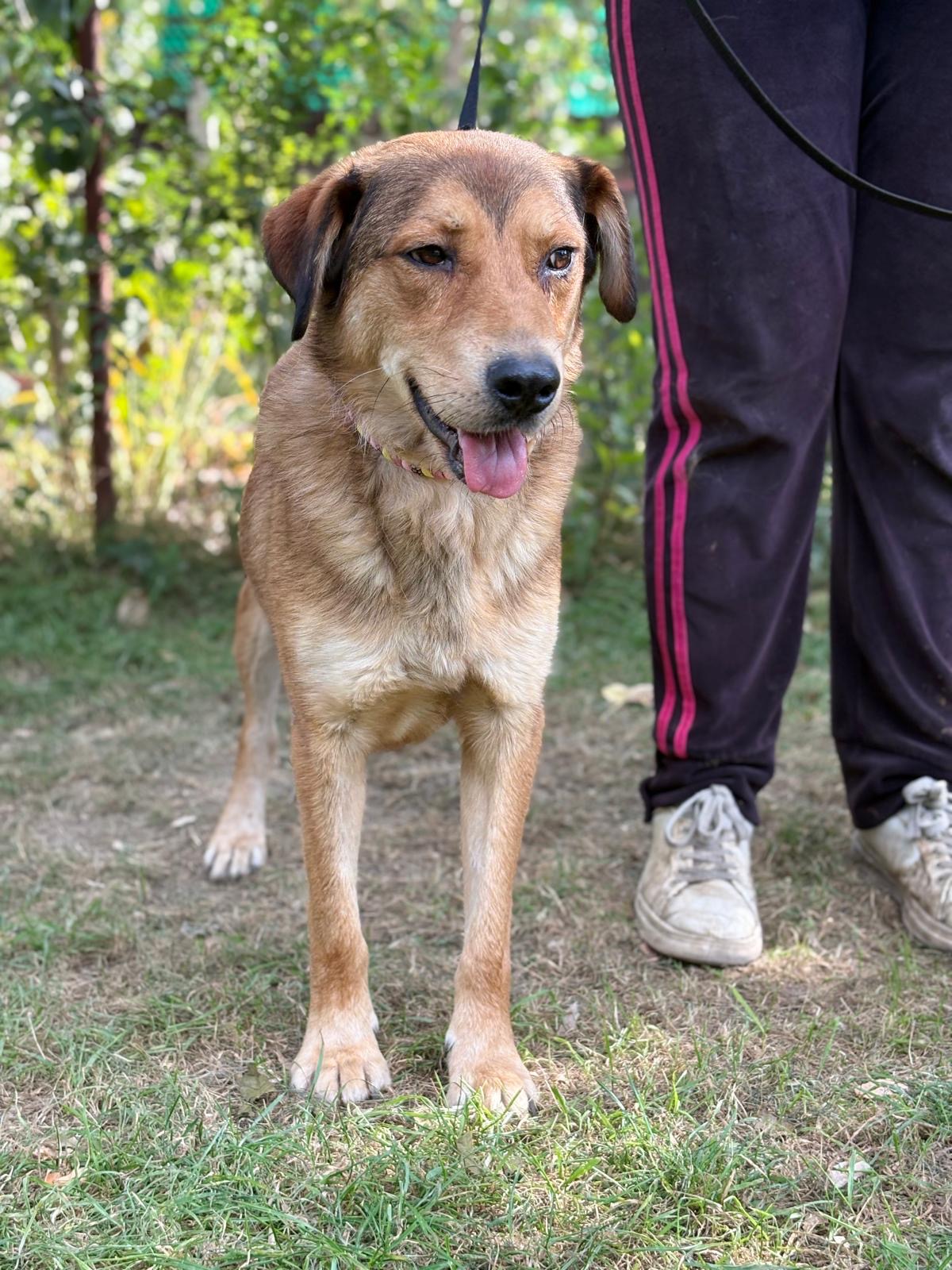 98759ab2-54a1-4cc9-99b9-11edbd786463