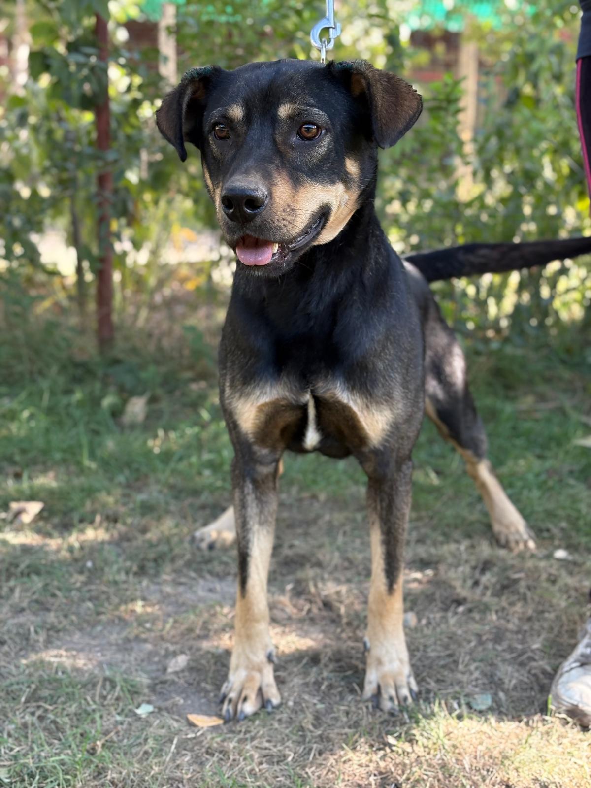 PHOTO-2025-10-06-15-36-13