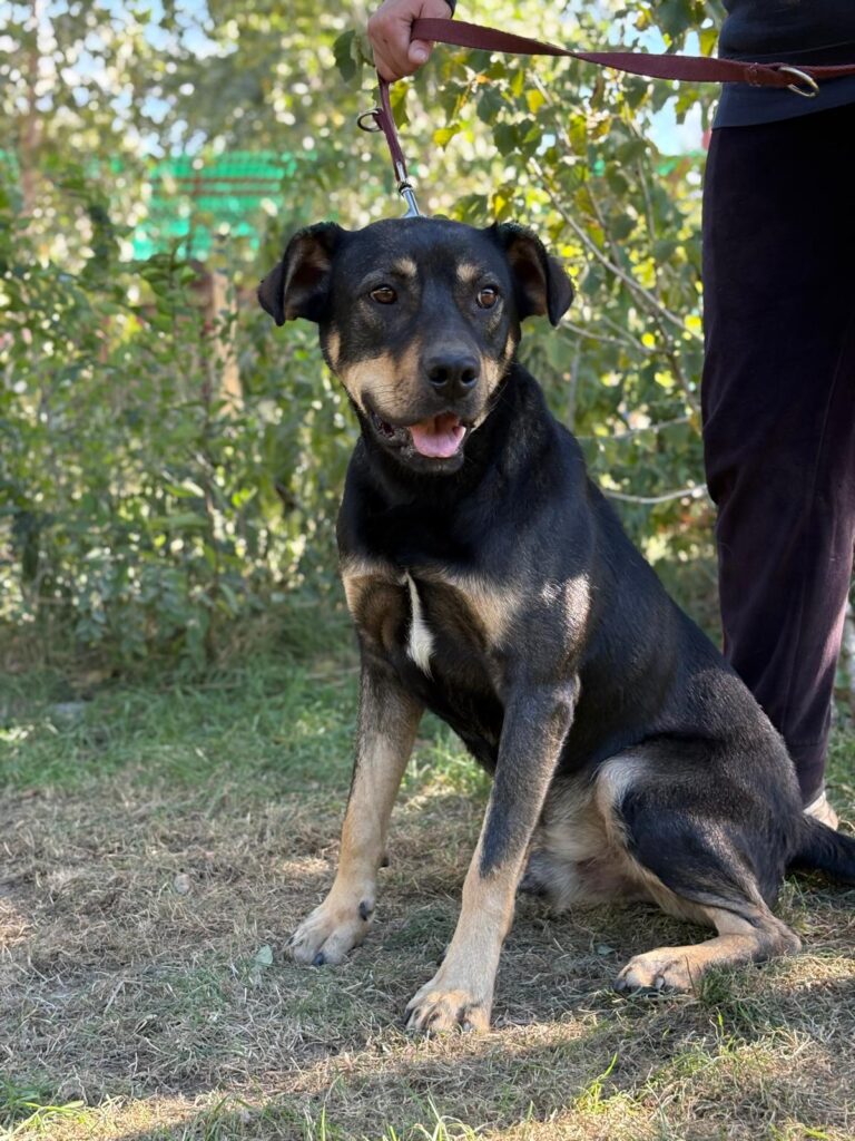 PHOTO-2025-10-06-15-36-14(1)