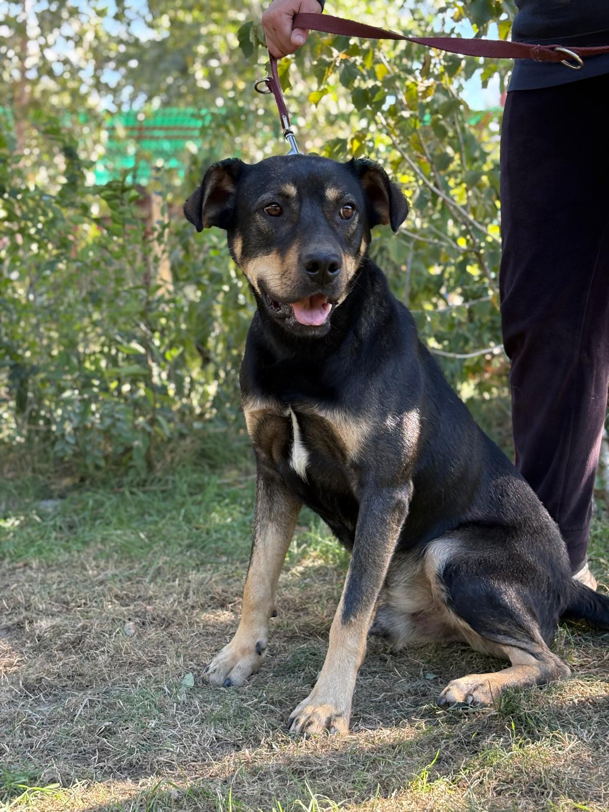 PHOTO-2025-10-06-15-36-14(1)