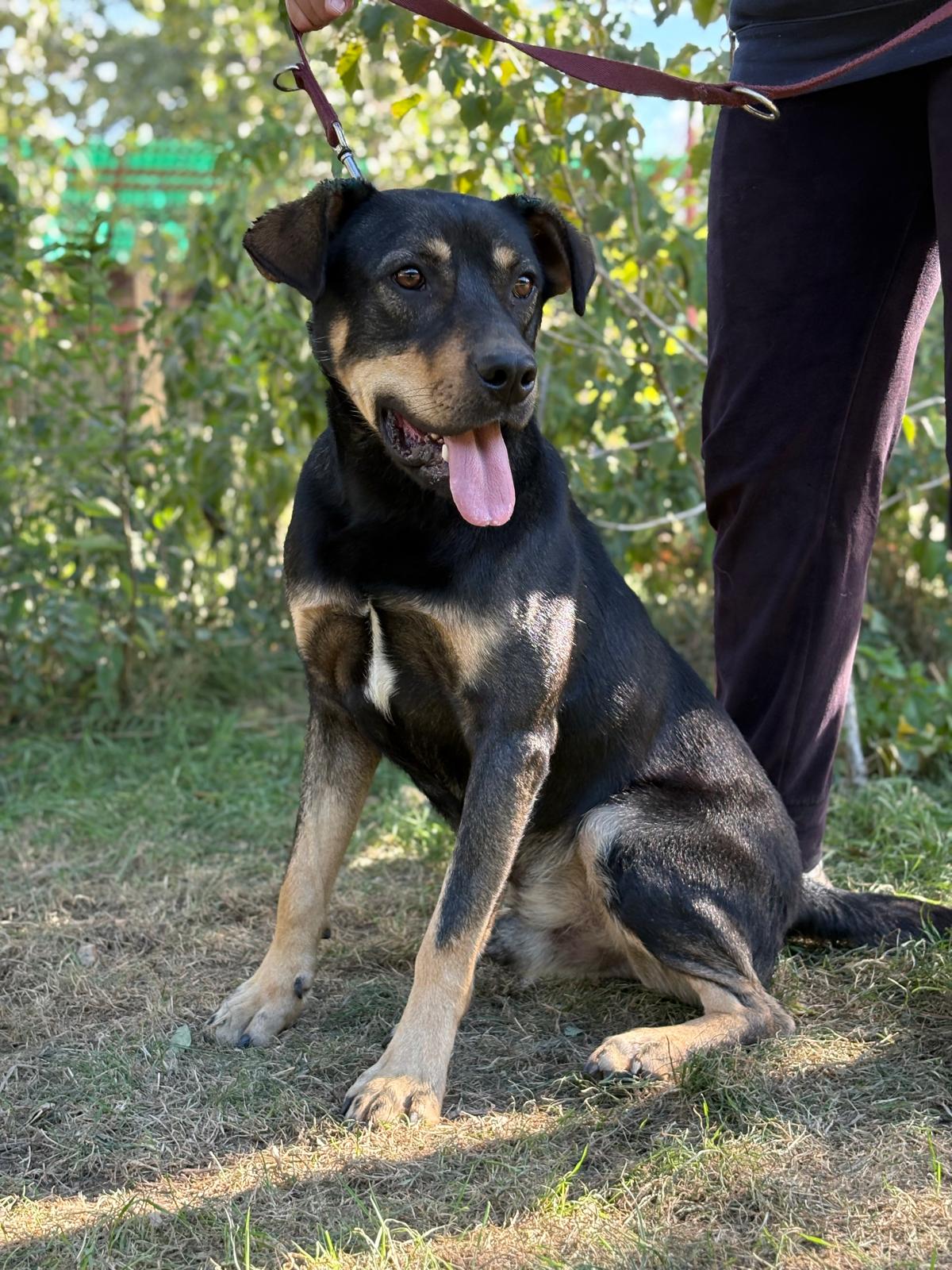 PHOTO-2025-10-06-15-36-14(2)