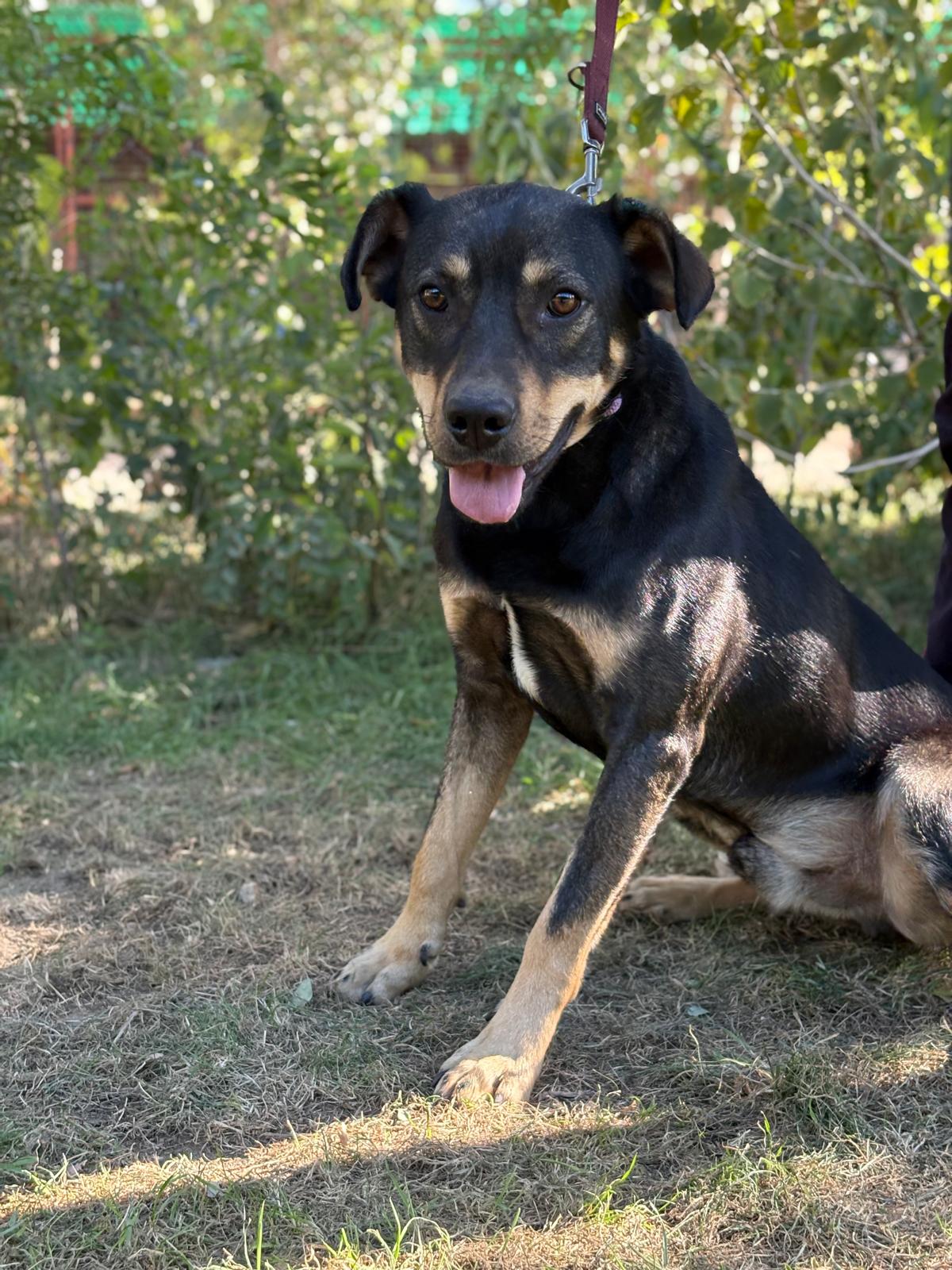 PHOTO-2025-10-06-15-36-14(3)