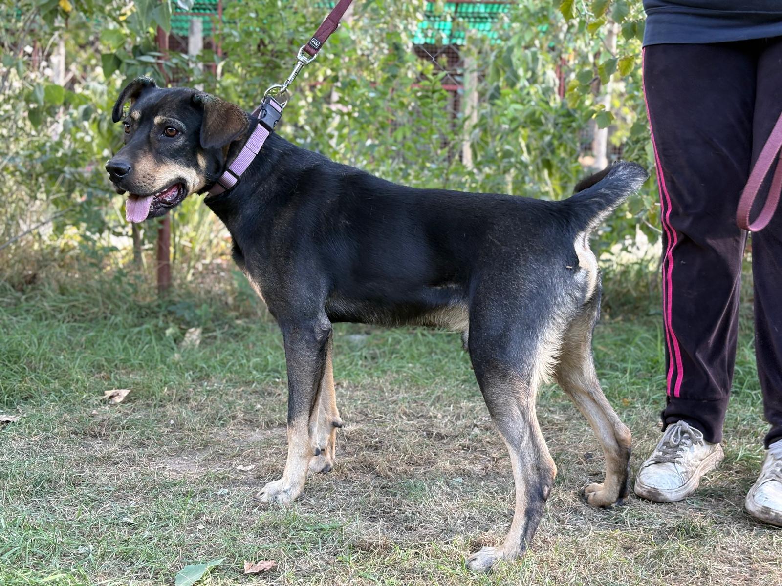 PHOTO-2025-10-06-15-36-14(4)