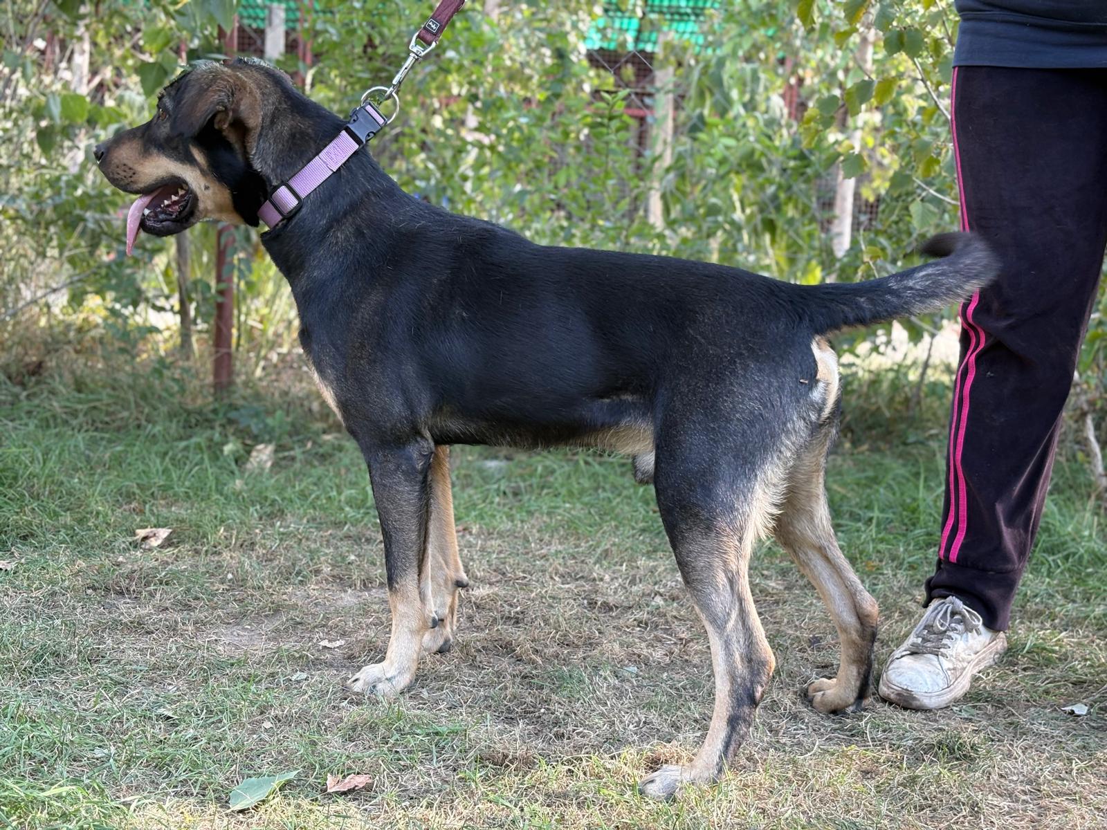 PHOTO-2025-10-06-15-36-14(5)