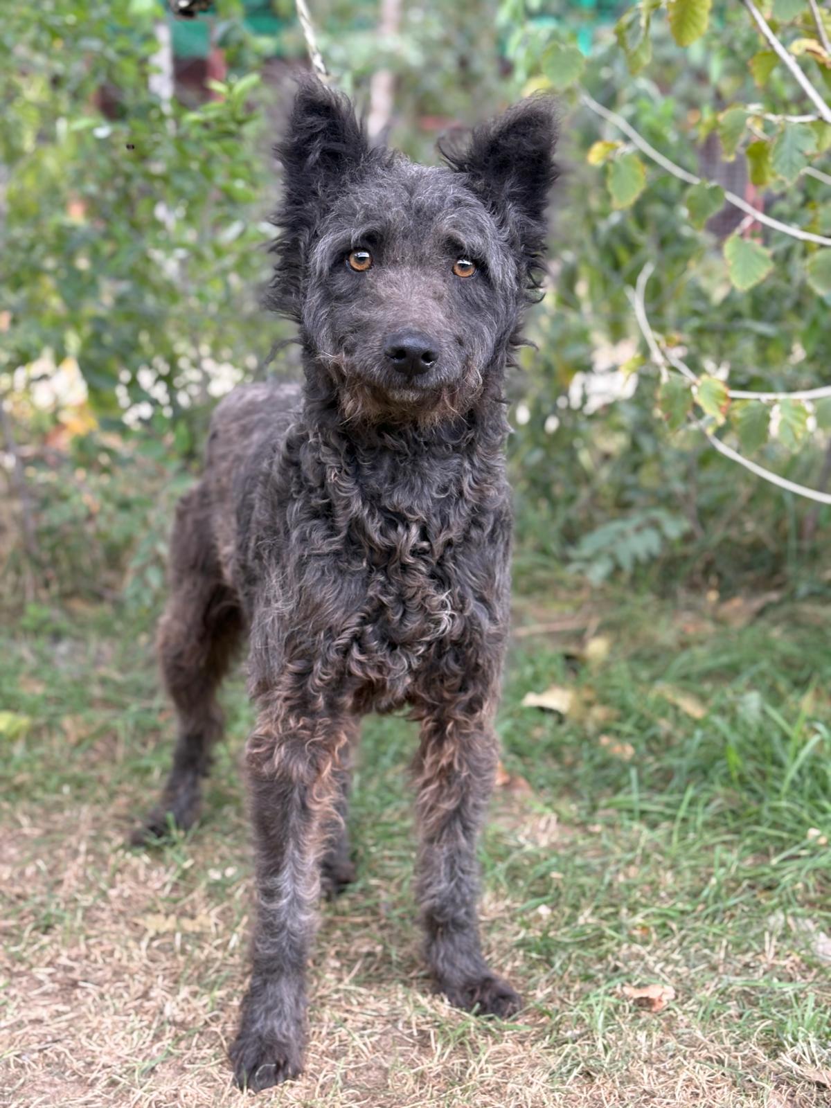 PHOTO-2025-10-07-14-47-16