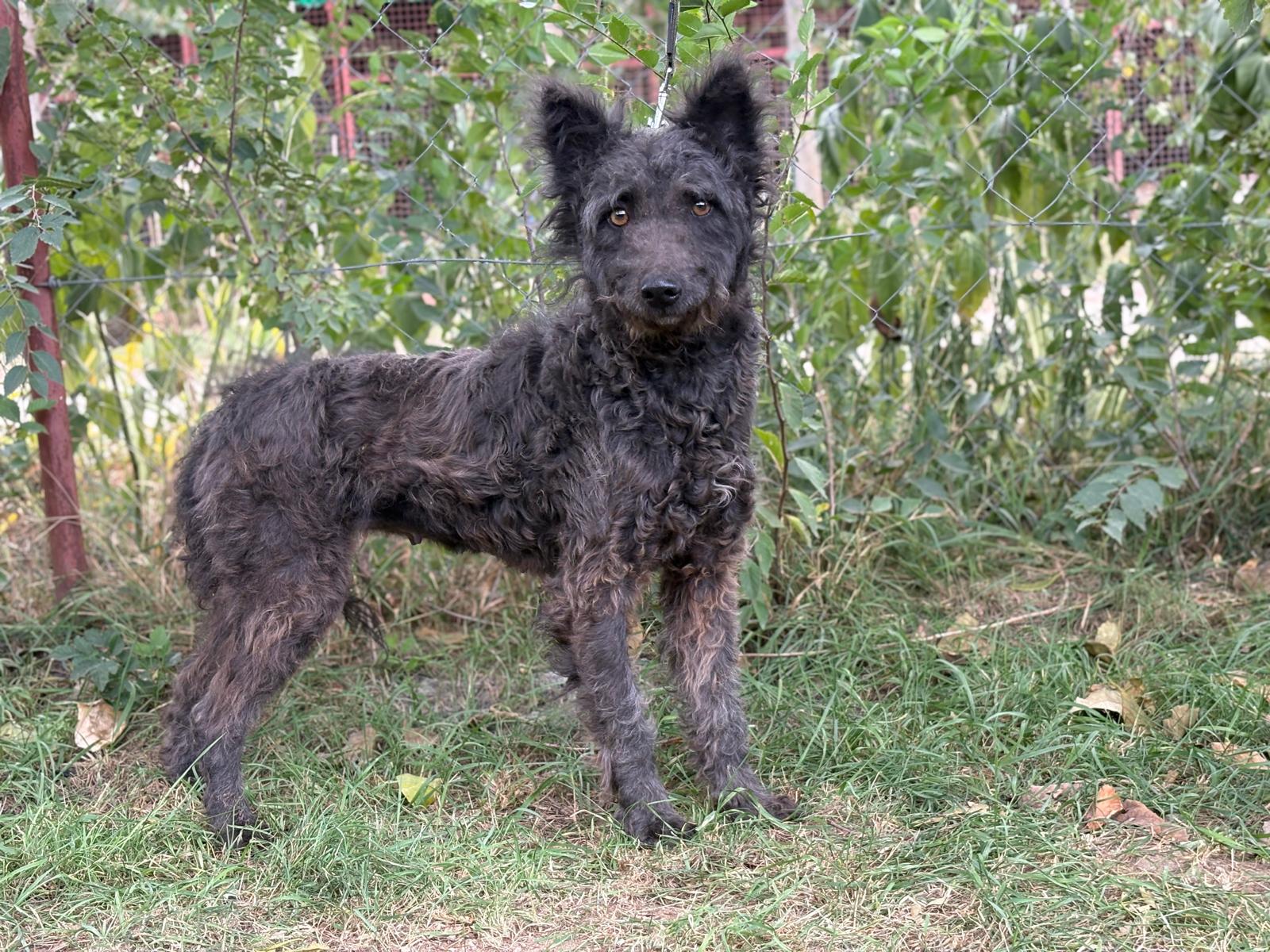 PHOTO-2025-10-07-14-47-17(1)