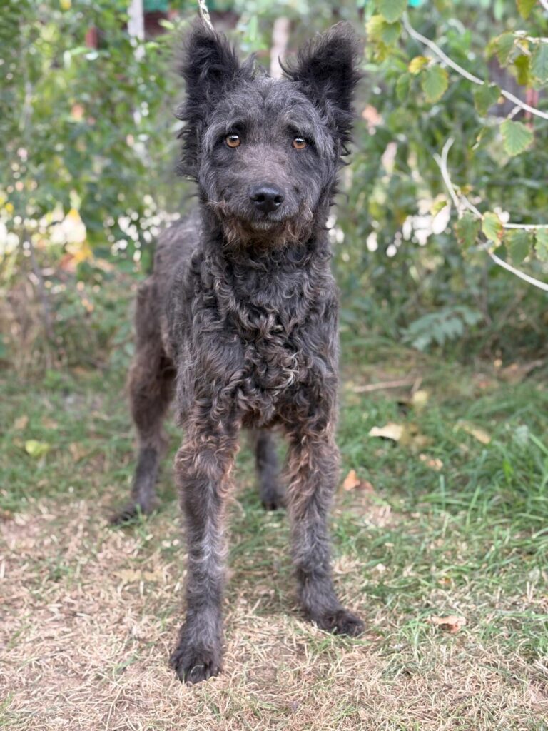 PHOTO-2025-10-07-14-47-17(3)