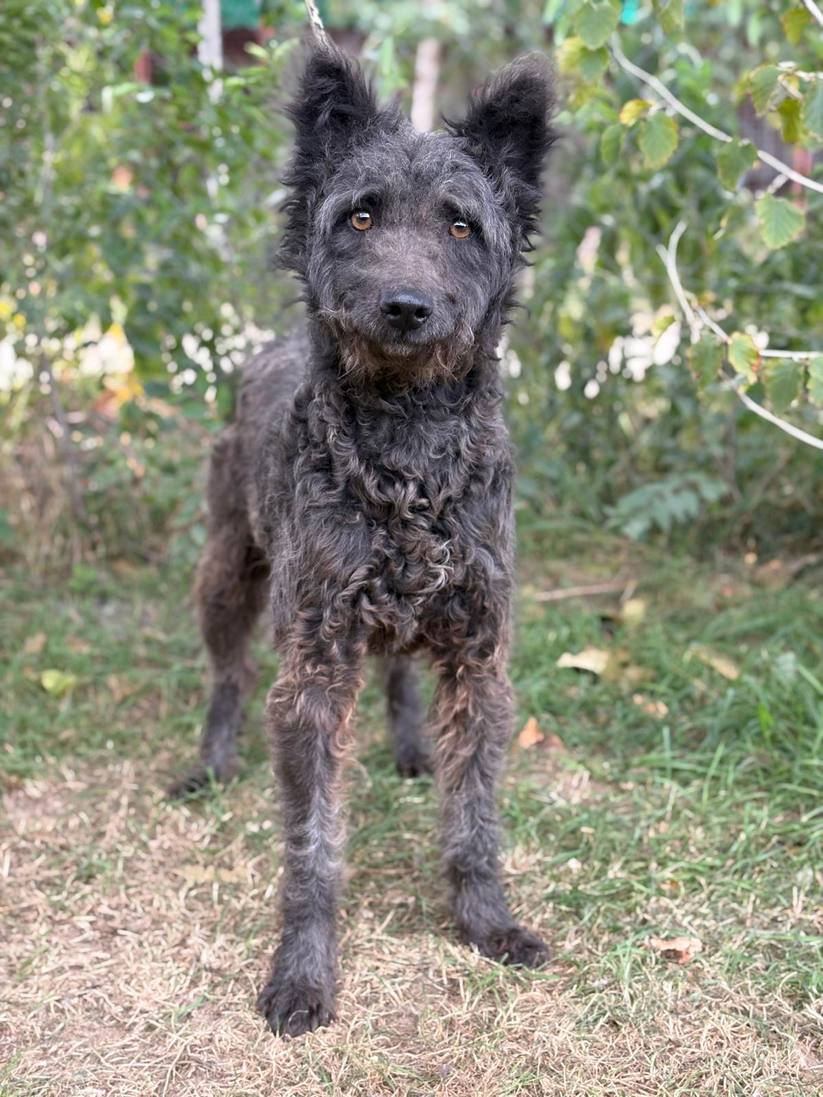 PHOTO-2025-10-07-14-47-17(4)