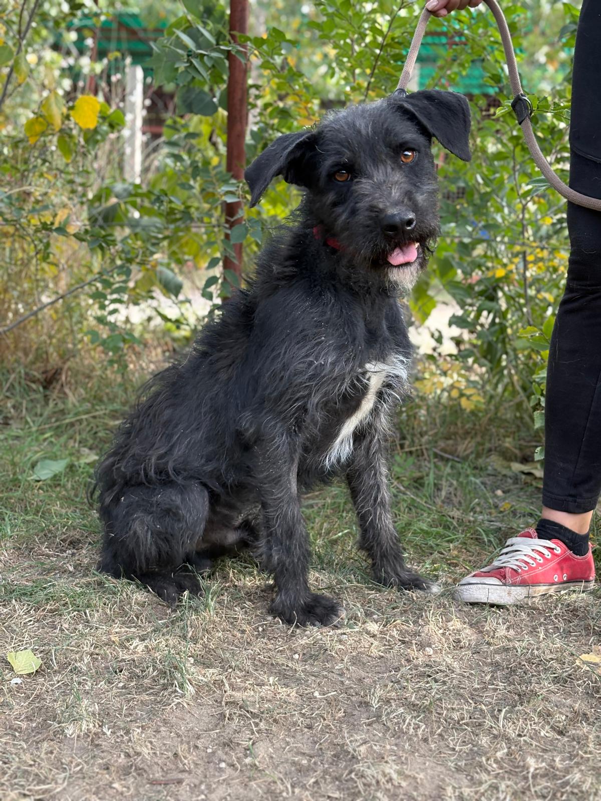 PHOTO-2025-10-14-14-57-37