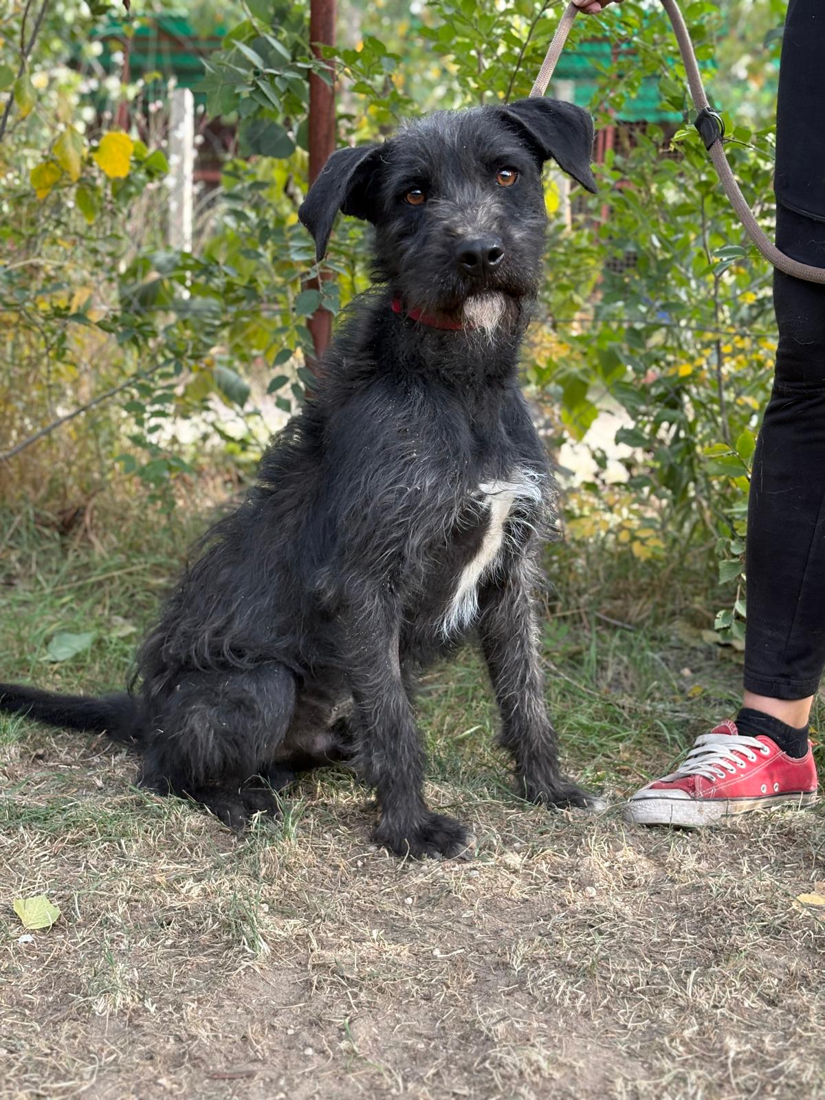 PHOTO-2025-10-14-14-57-37(1)