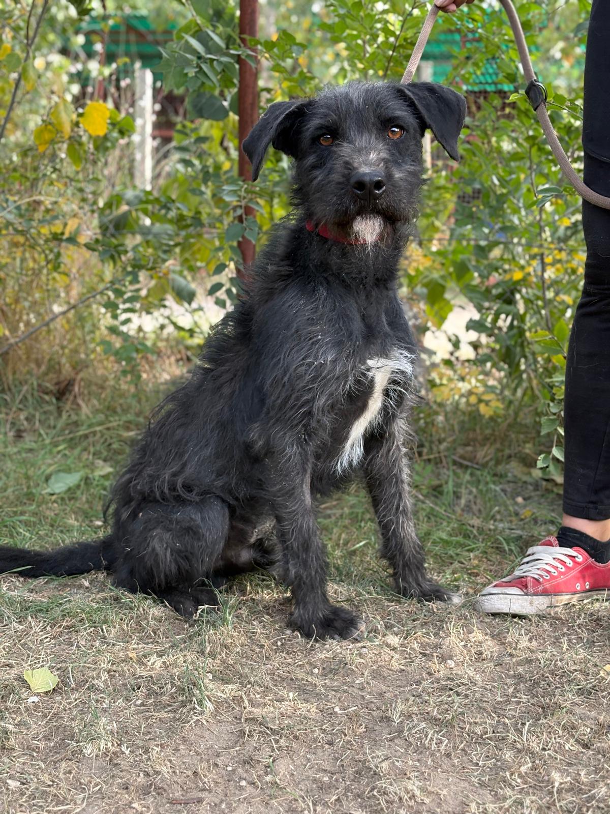 PHOTO-2025-10-14-14-57-37(2)