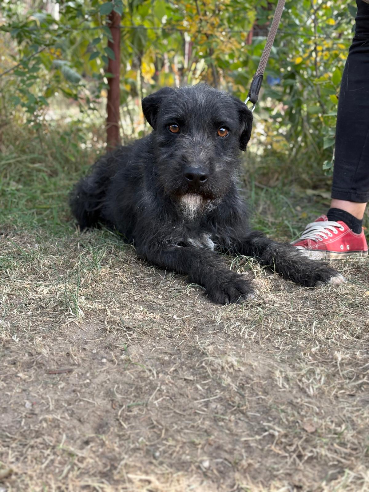 PHOTO-2025-10-14-14-57-37(3)