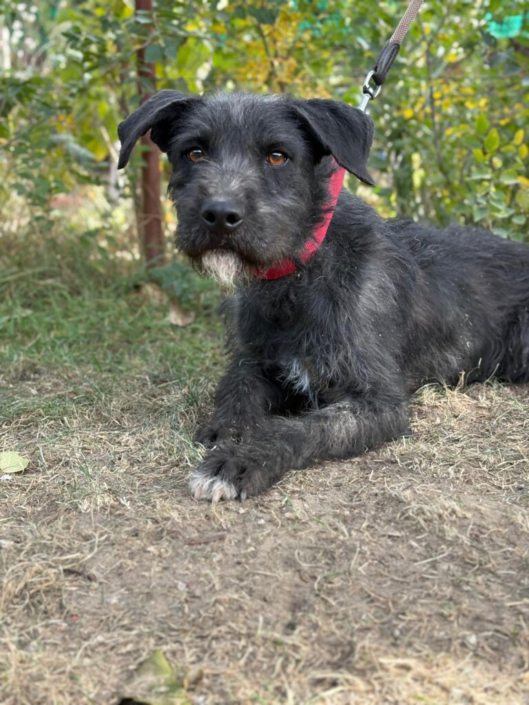 PHOTO-2025-10-14-14-57-37(4)