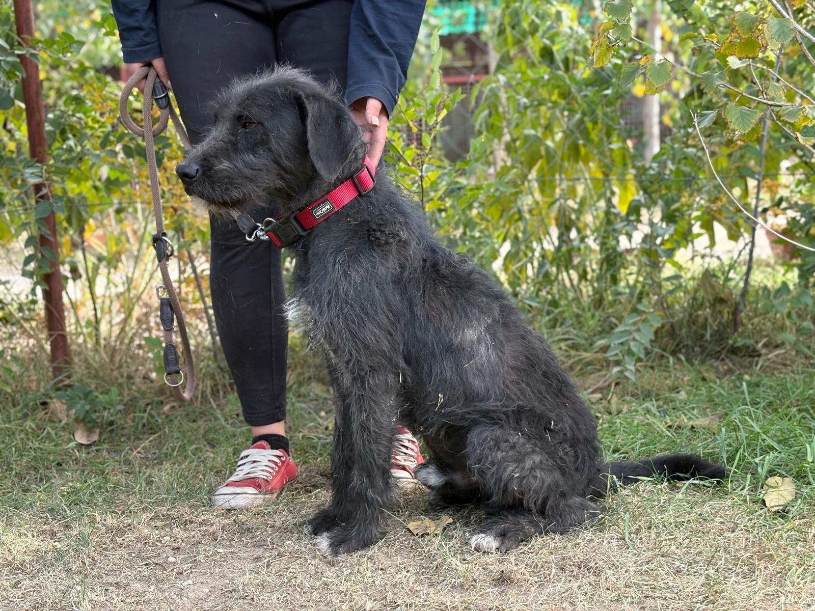 PHOTO-2025-10-14-14-57-37(5)