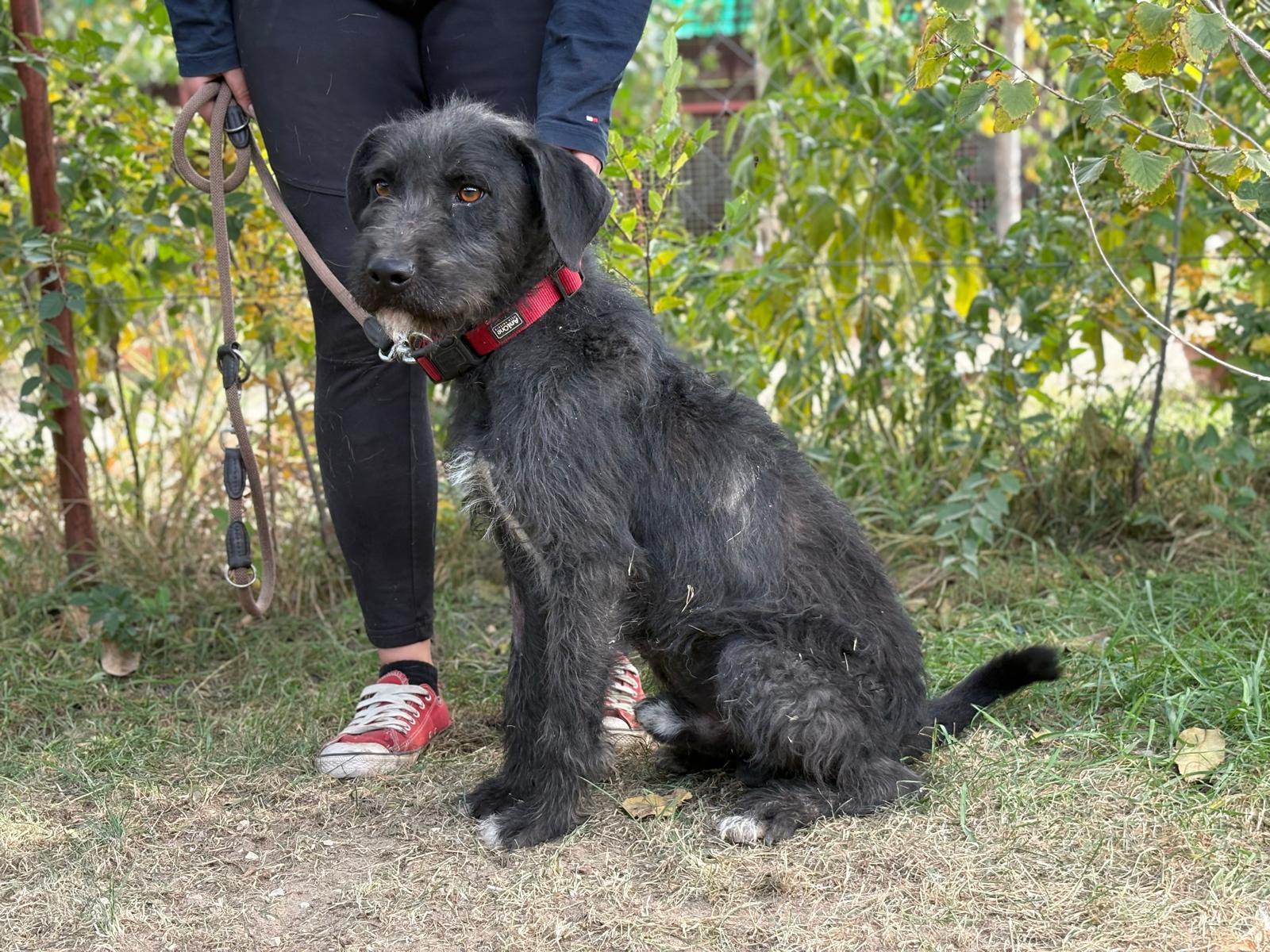 PHOTO-2025-10-14-14-57-37(6)