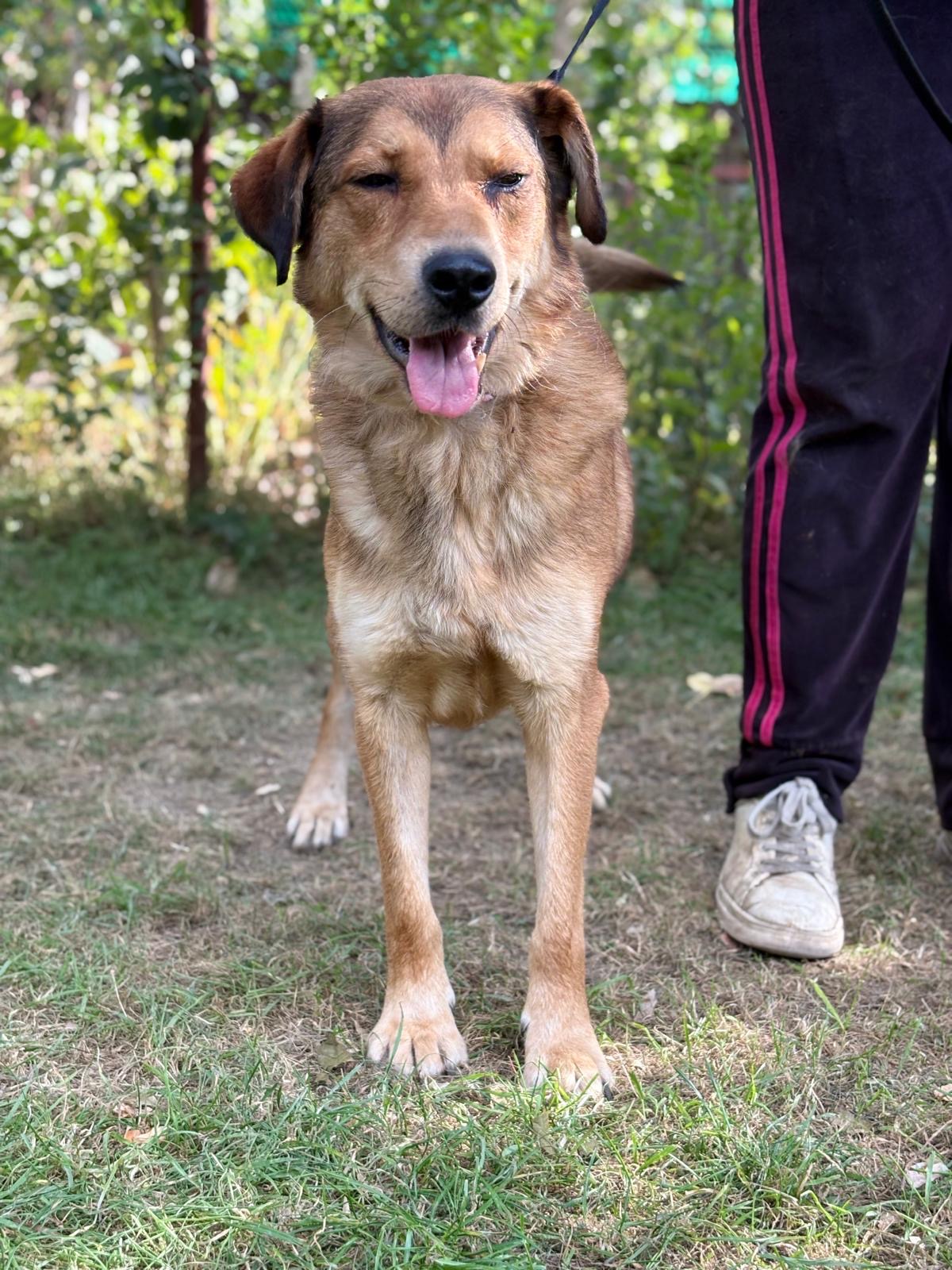 add732cc-6106-48d4-81a6-d52da8c2d9df