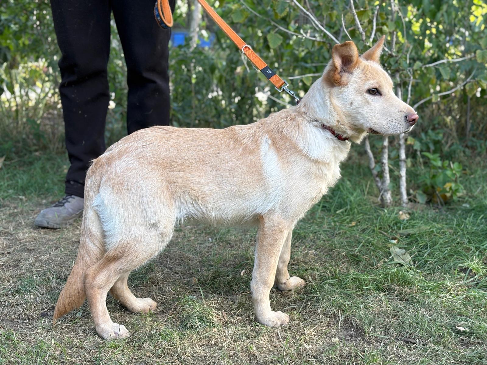 PHOTO-2025-10-06-15-34-48