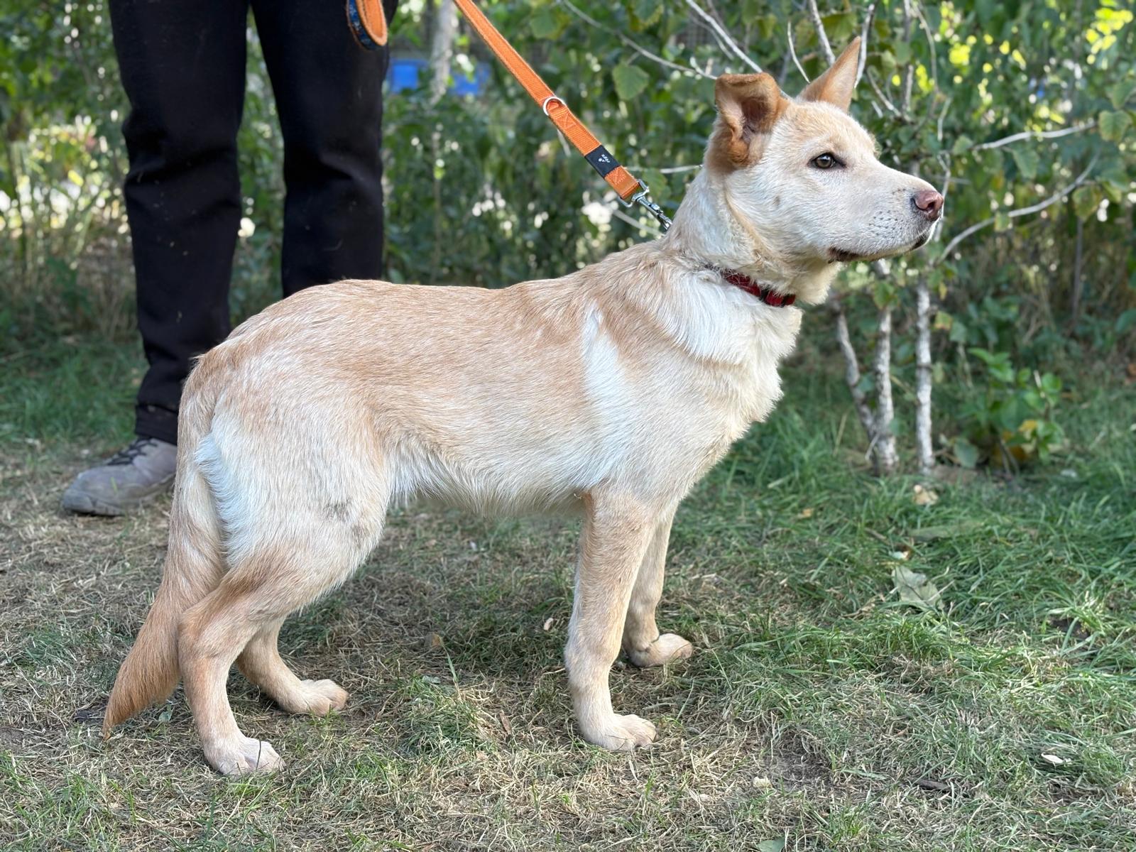 PHOTO-2025-10-06-15-34-48(1)