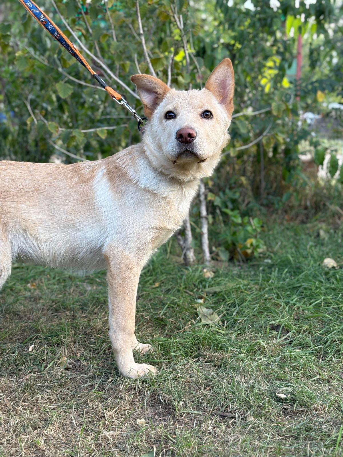 PHOTO-2025-10-06-15-34-48(2)