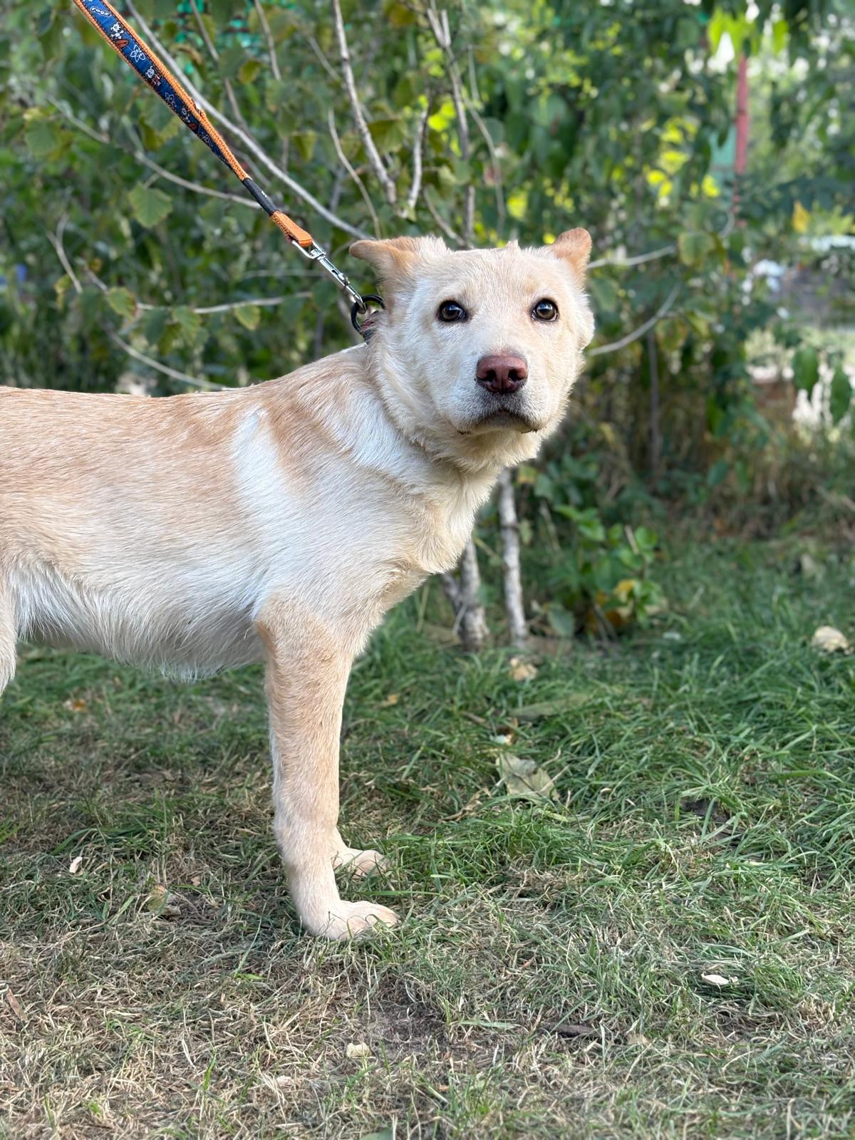 PHOTO-2025-10-06-15-34-48(3)