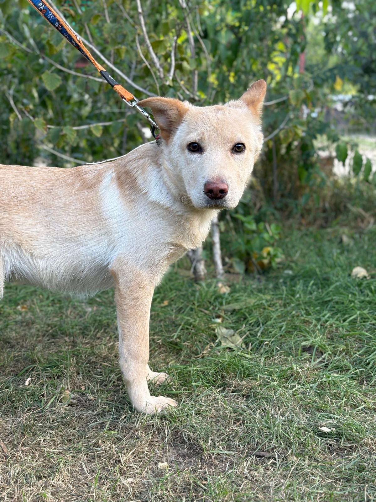 PHOTO-2025-10-06-15-34-48(4)