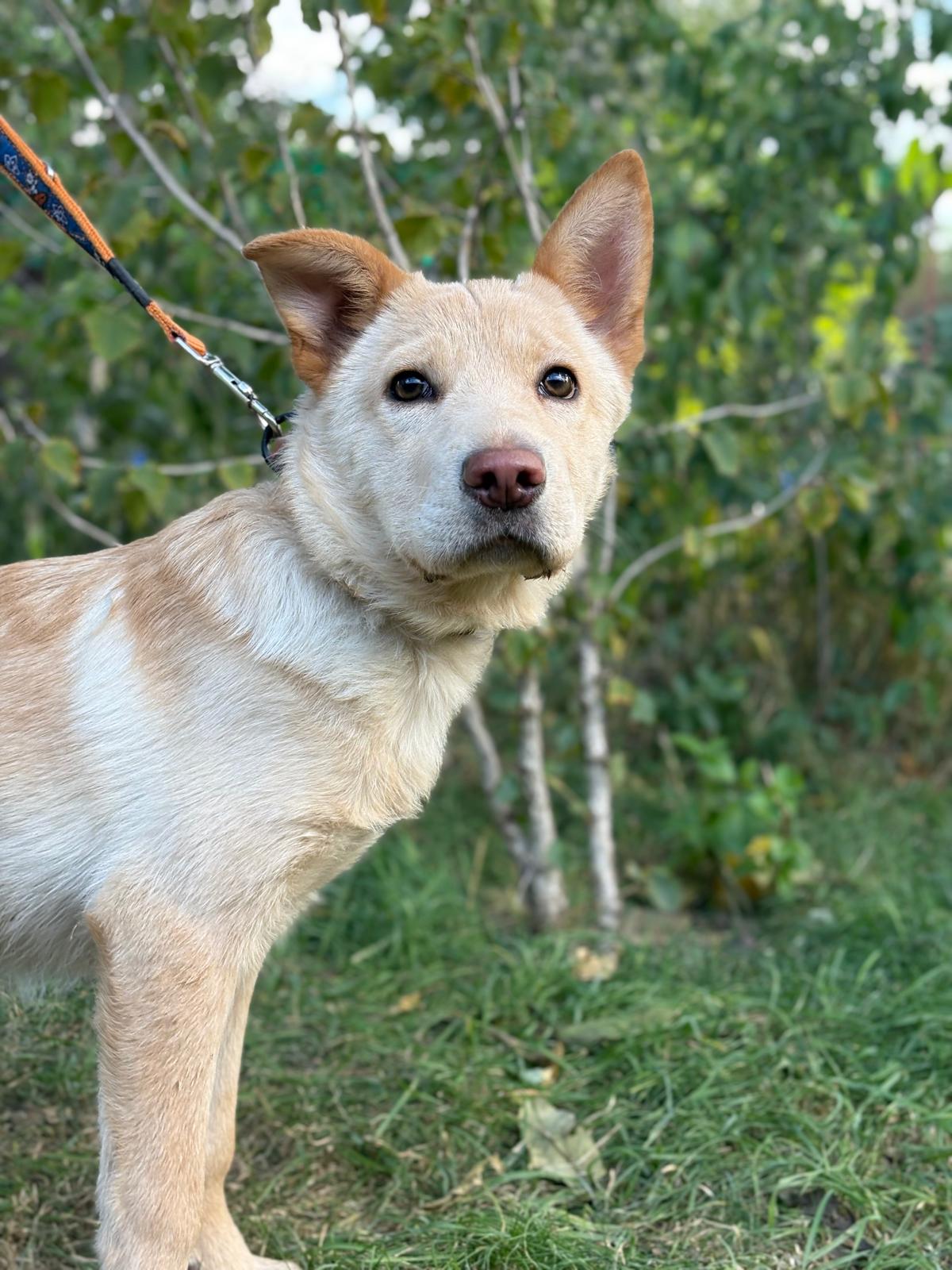 PHOTO-2025-10-06-15-34-48(6)