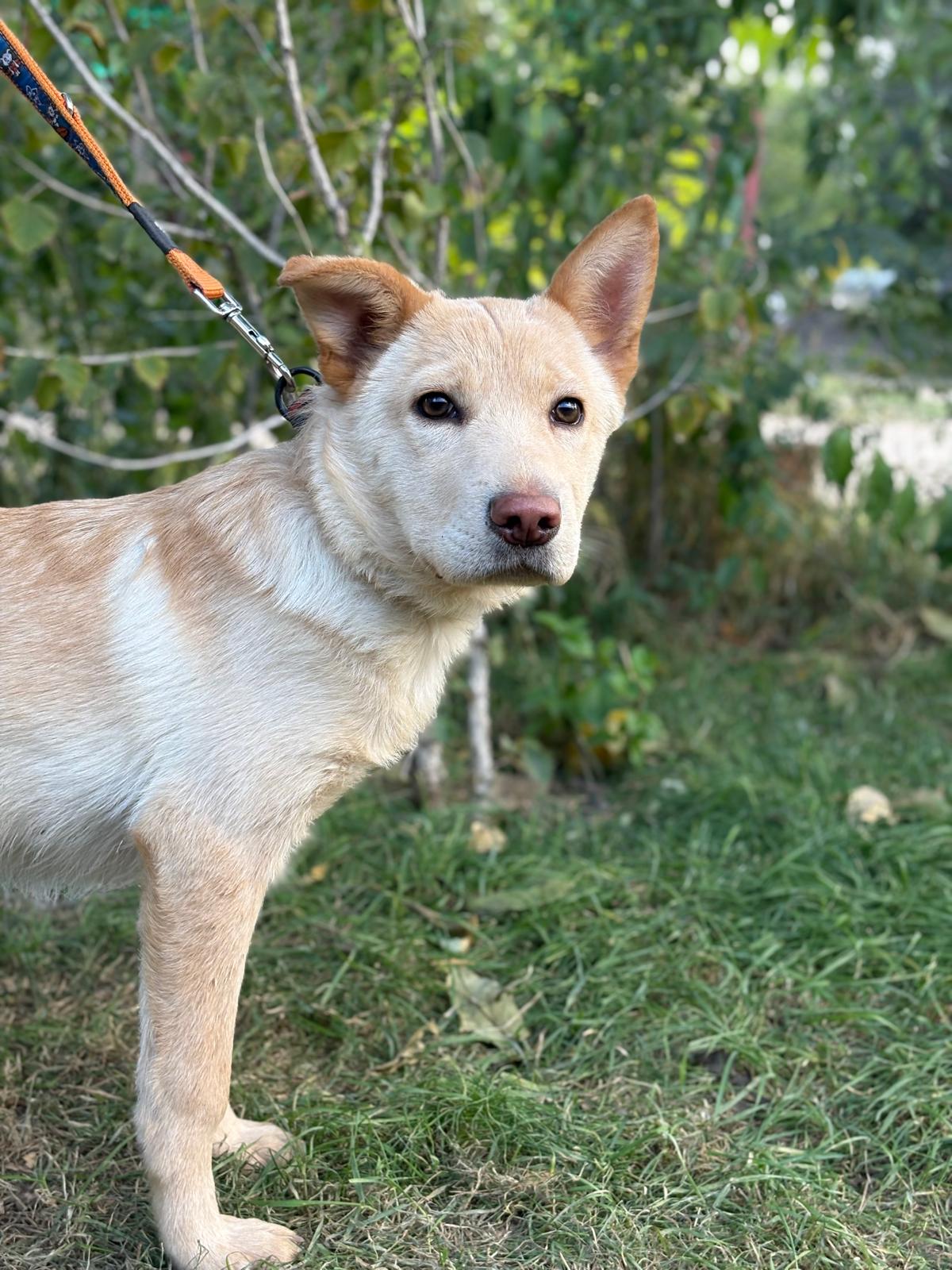 PHOTO-2025-10-06-15-34-48(7)