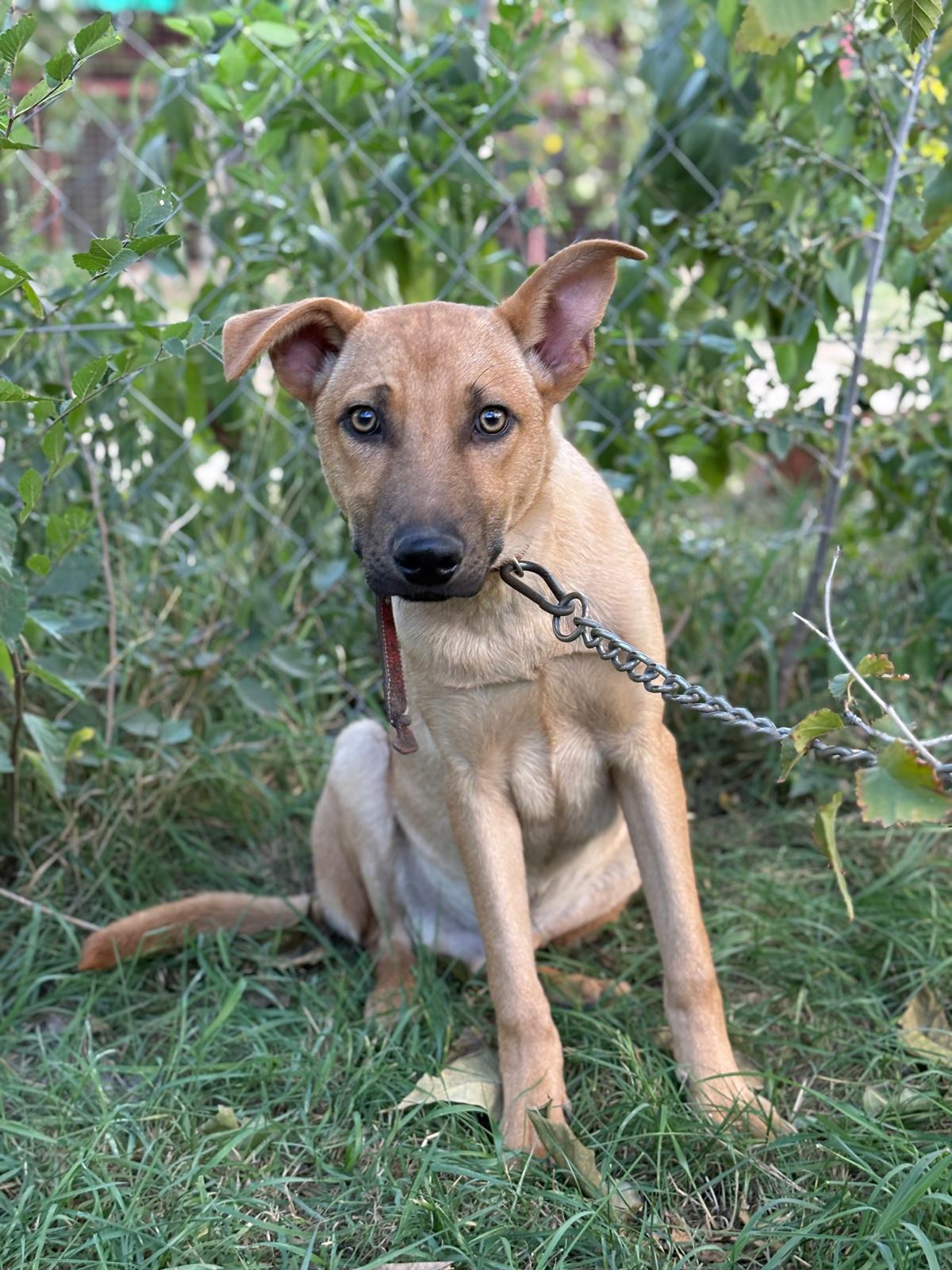 PHOTO-2025-10-06-15-35-15(1)