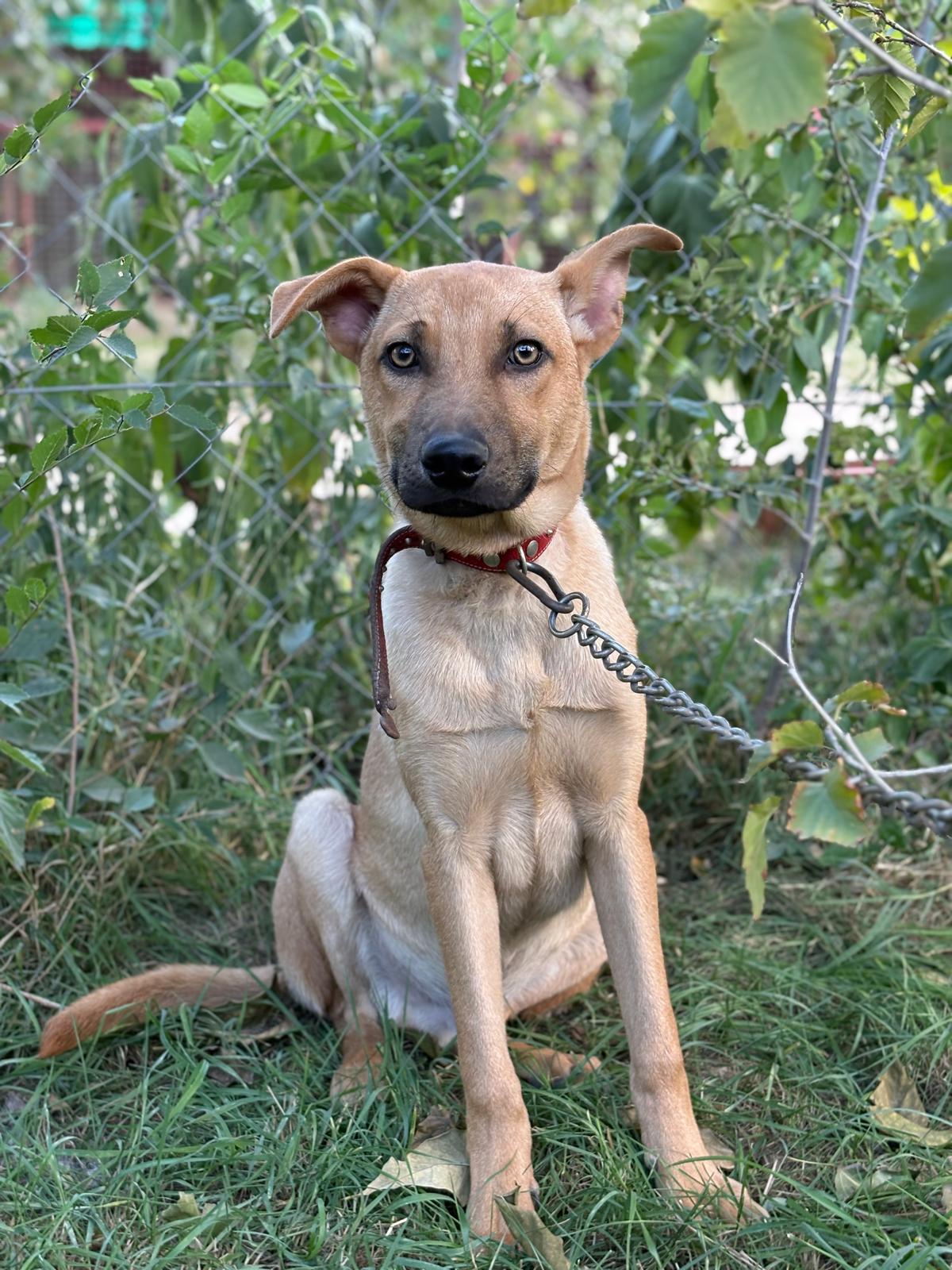 PHOTO-2025-10-06-15-35-15(2)