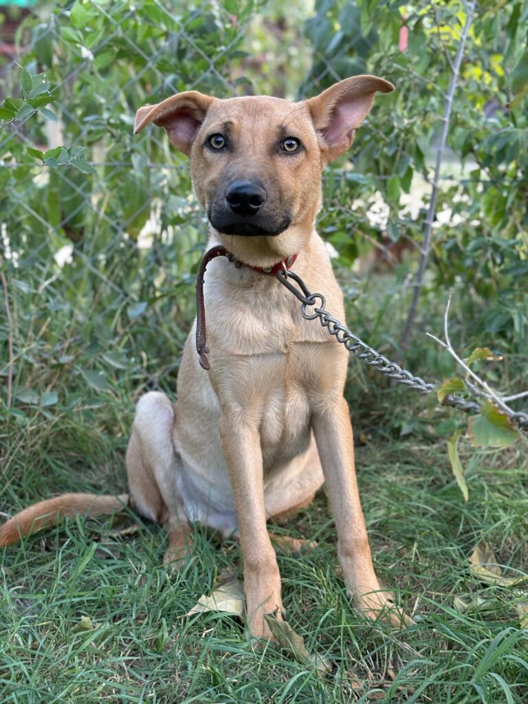 PHOTO-2025-10-06-15-35-15(3)