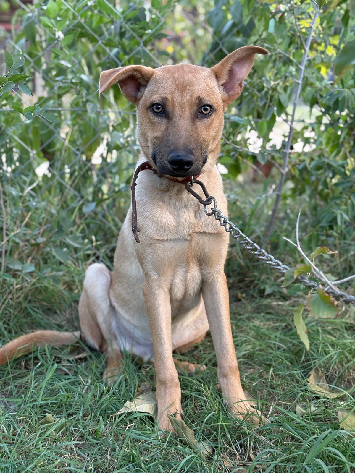 PHOTO-2025-10-06-15-35-15(4)