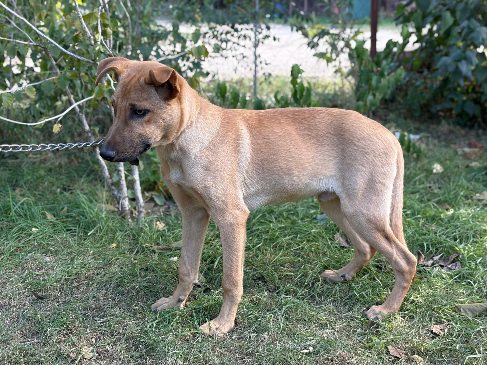 PHOTO-2025-10-06-15-35-15(5)