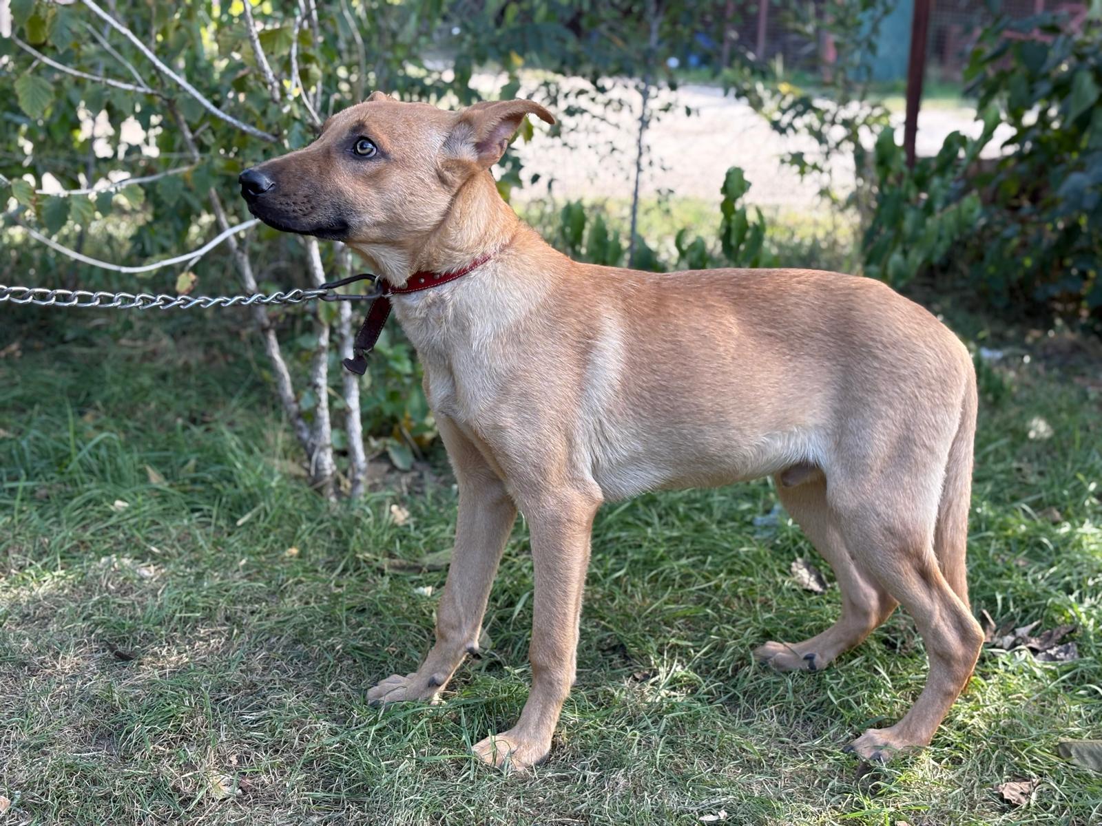 PHOTO-2025-10-06-15-35-15(6)