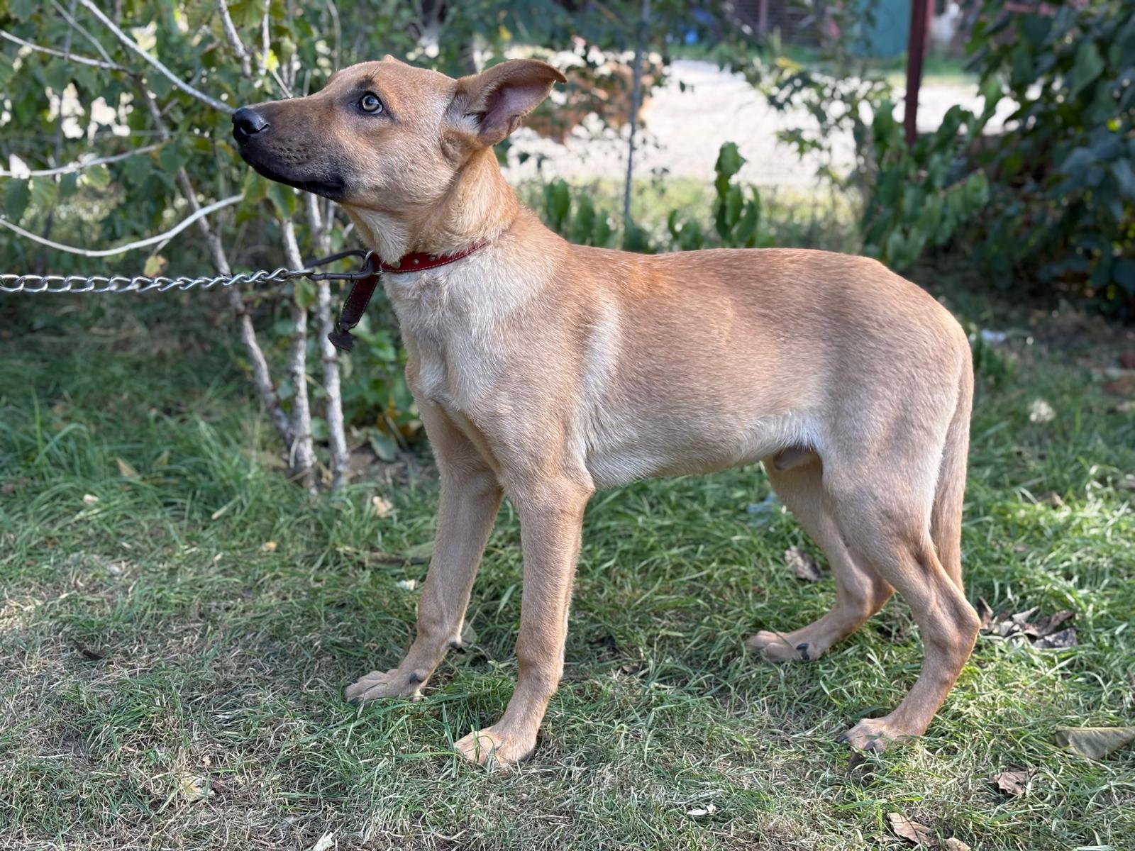 PHOTO-2025-10-06-15-35-15(7)