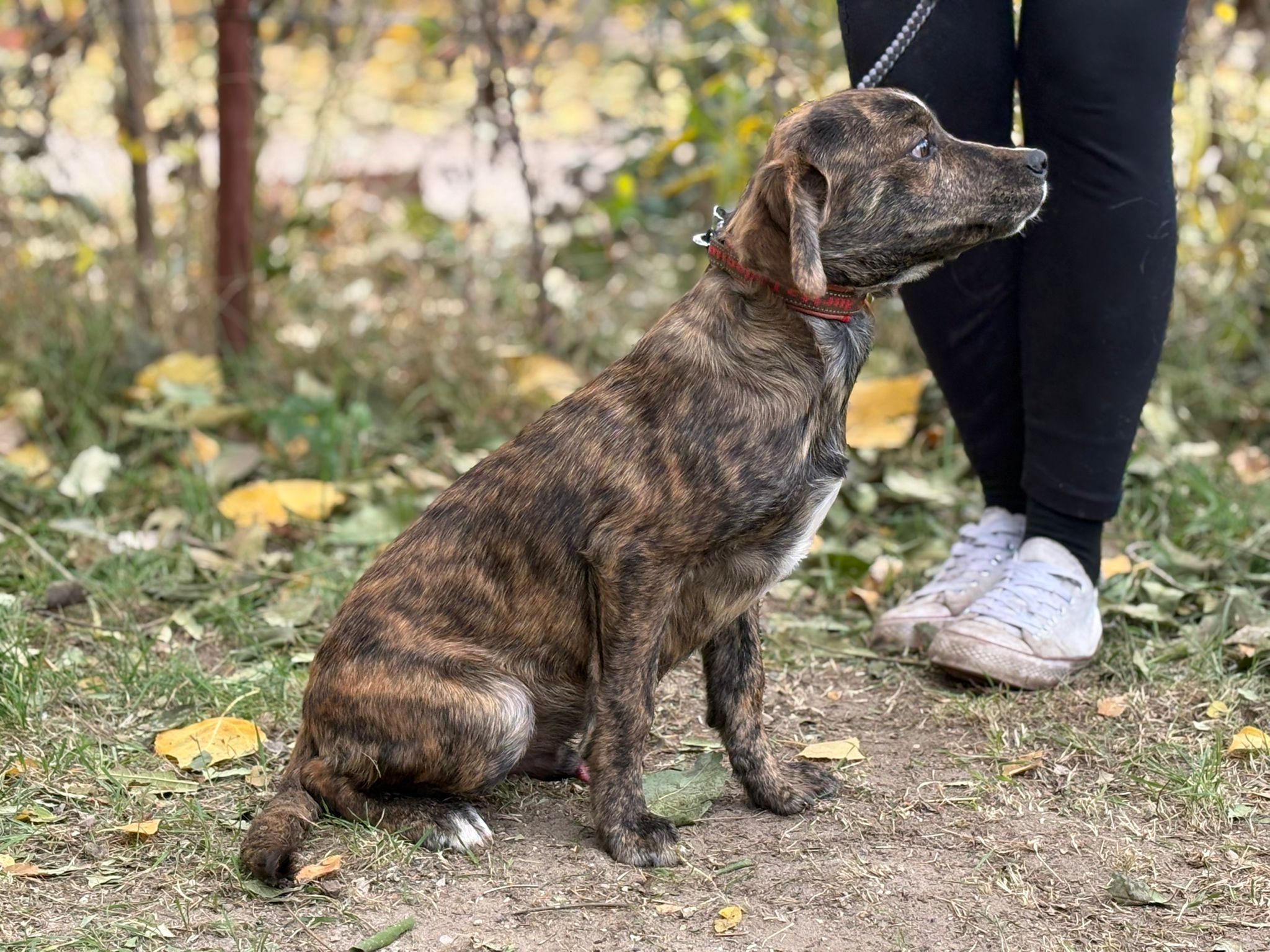 PHOTO-2025-10-30-14-57-41(1)