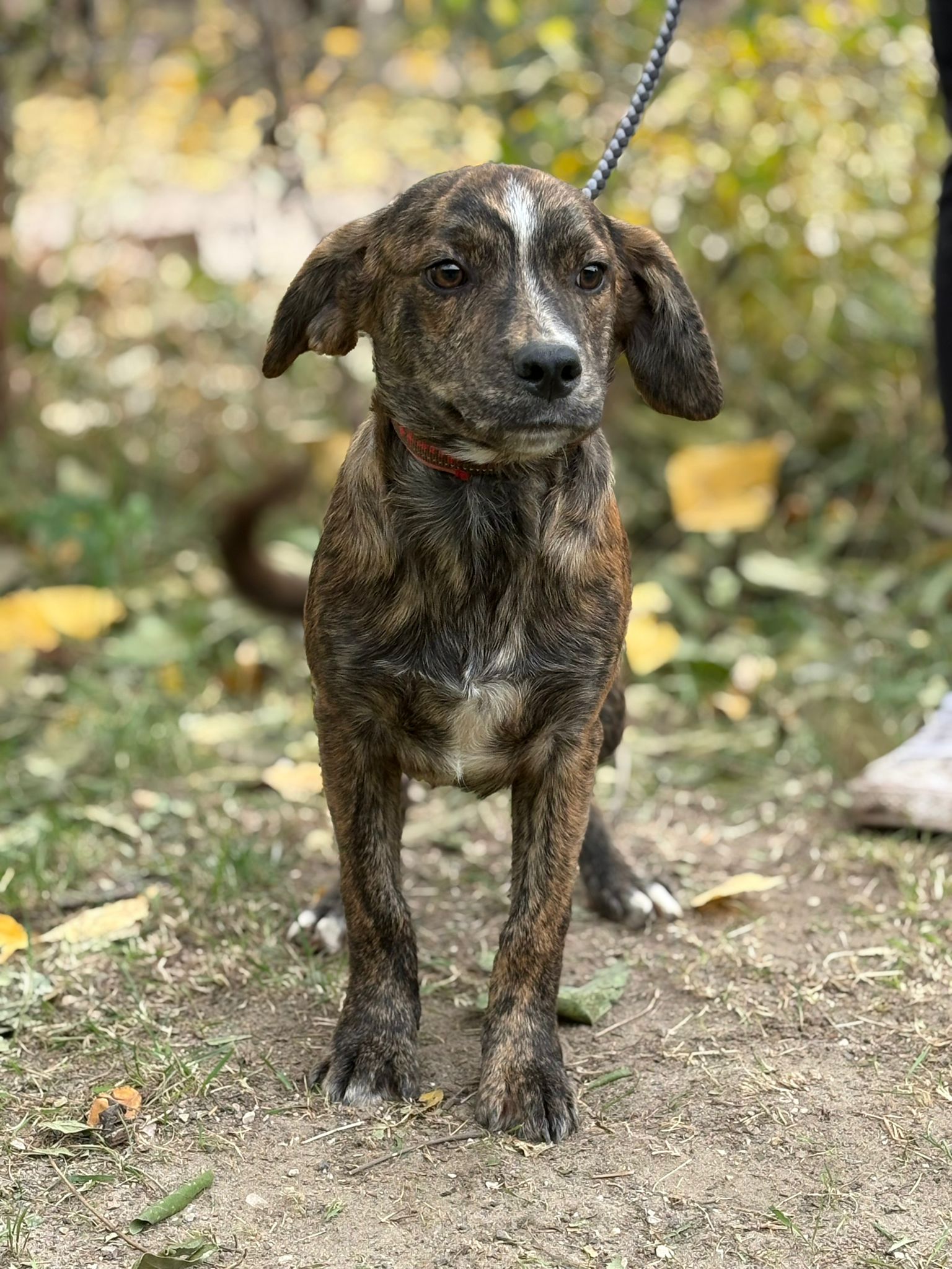 PHOTO-2025-10-30-14-57-41(2)