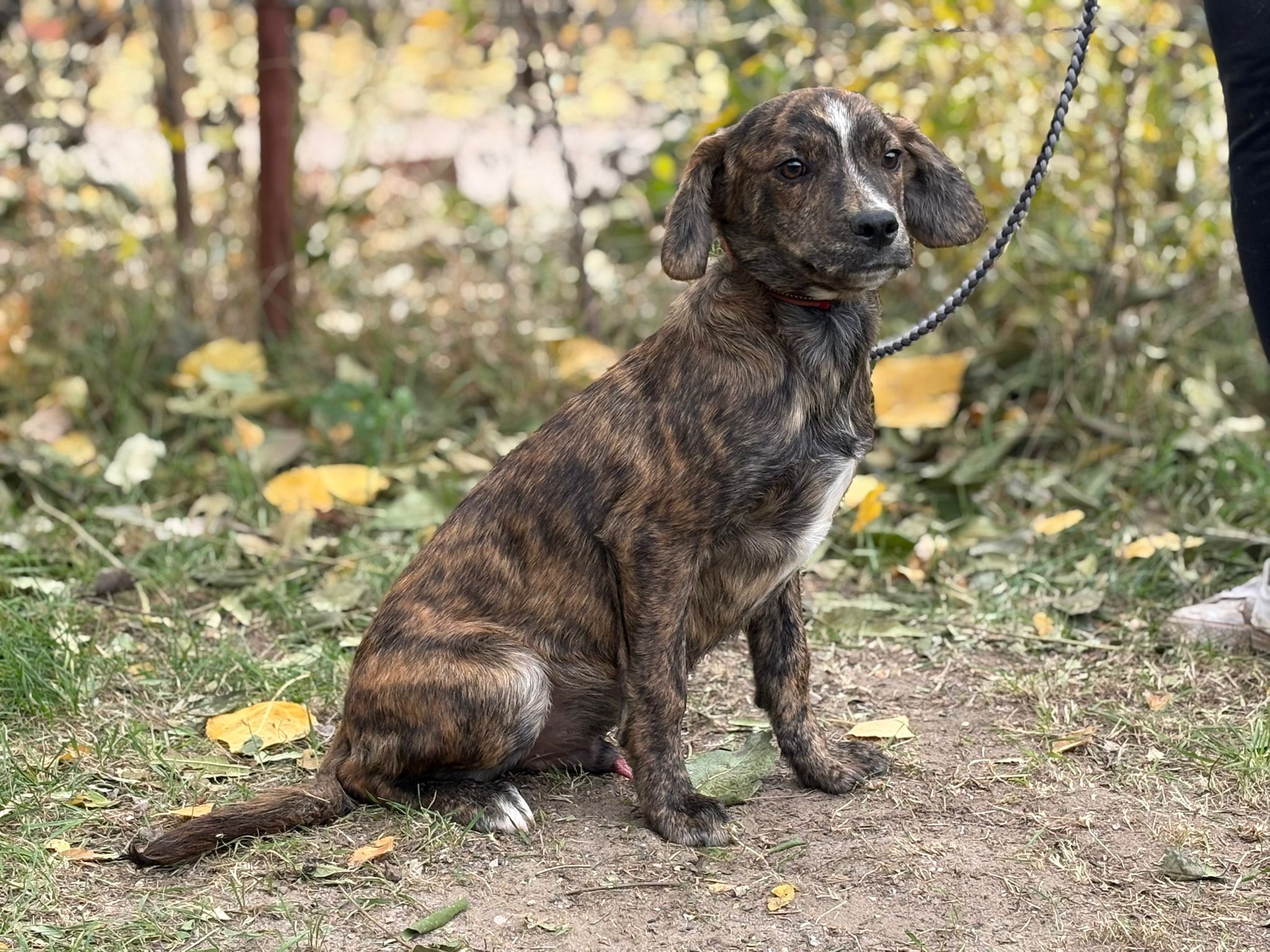 PHOTO-2025-10-30-14-57-42(1)