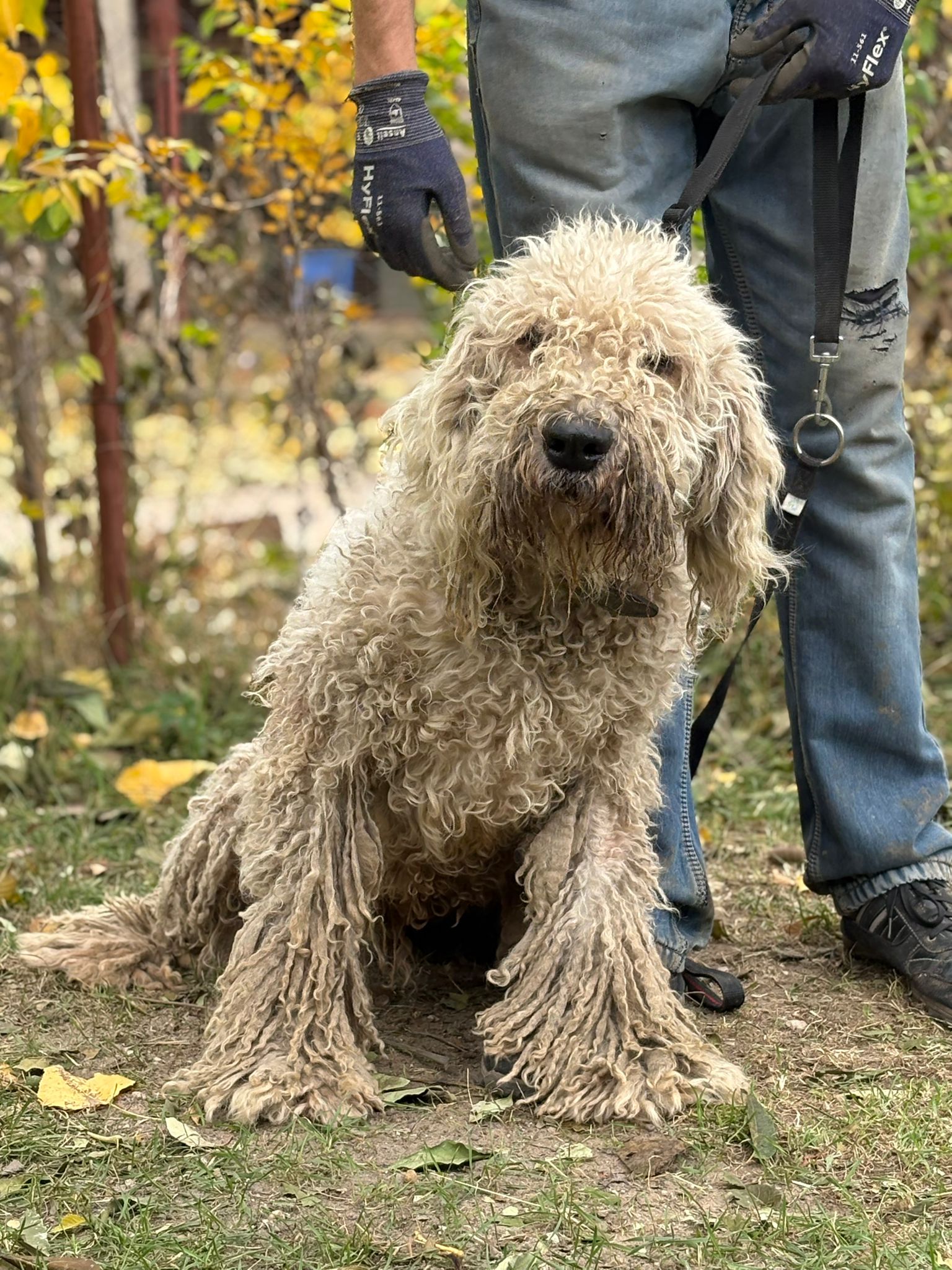 PHOTO-2025-10-30-14-58-50