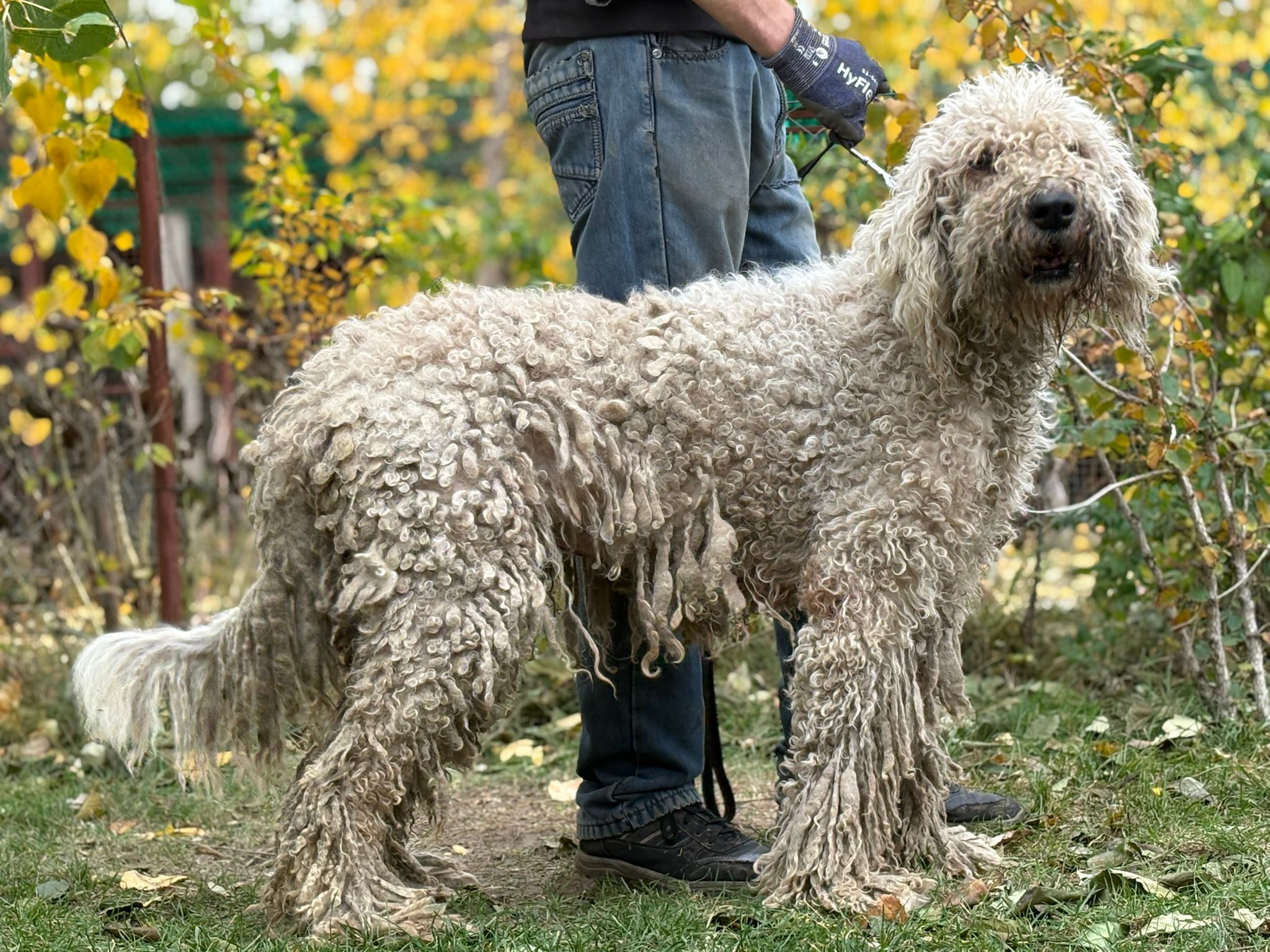 PHOTO-2025-10-30-14-58-50(2)